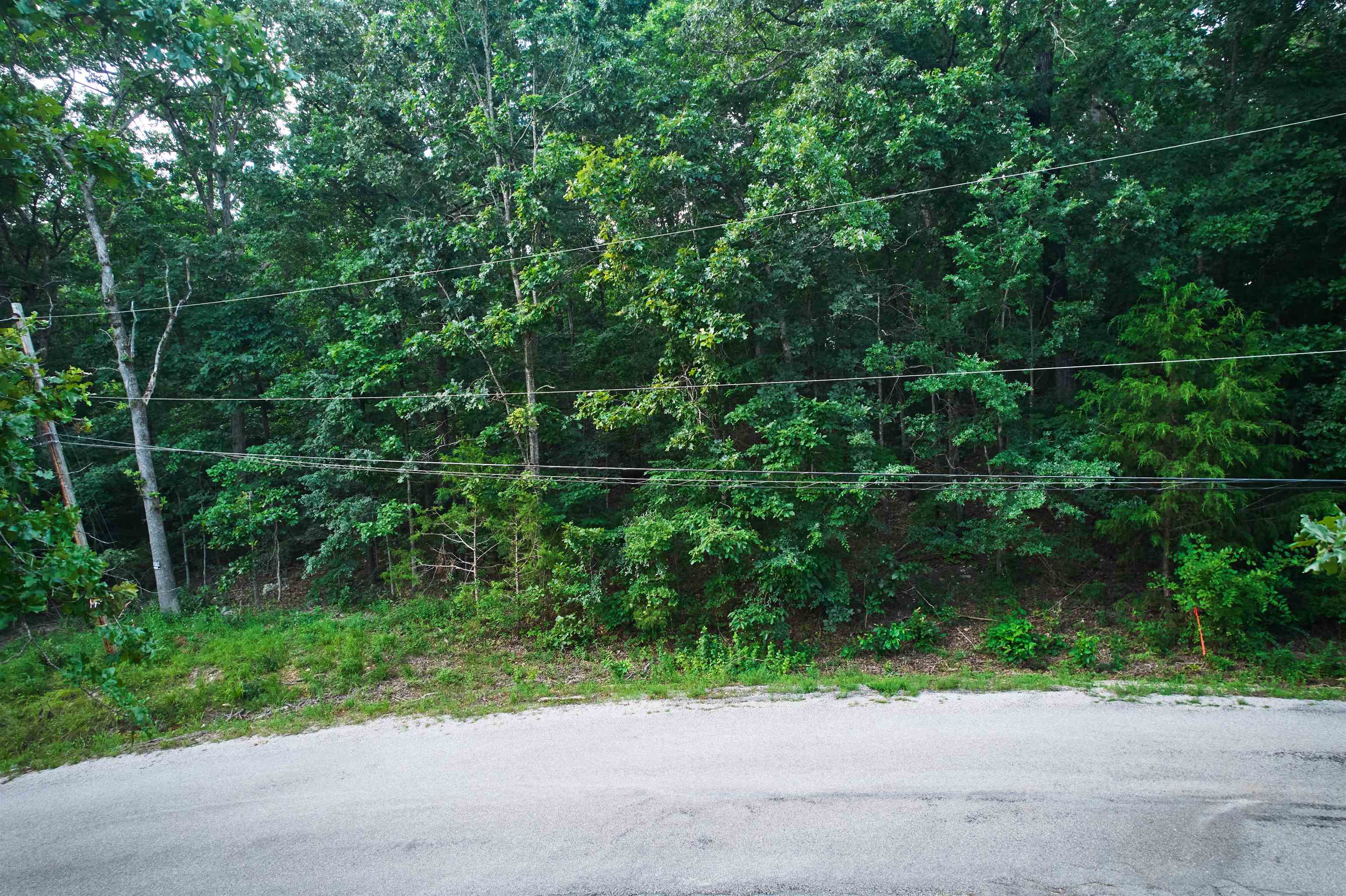 Photo 4 - Vacant Land for sale – 00  Robin Hood Lane   Hardy, AR