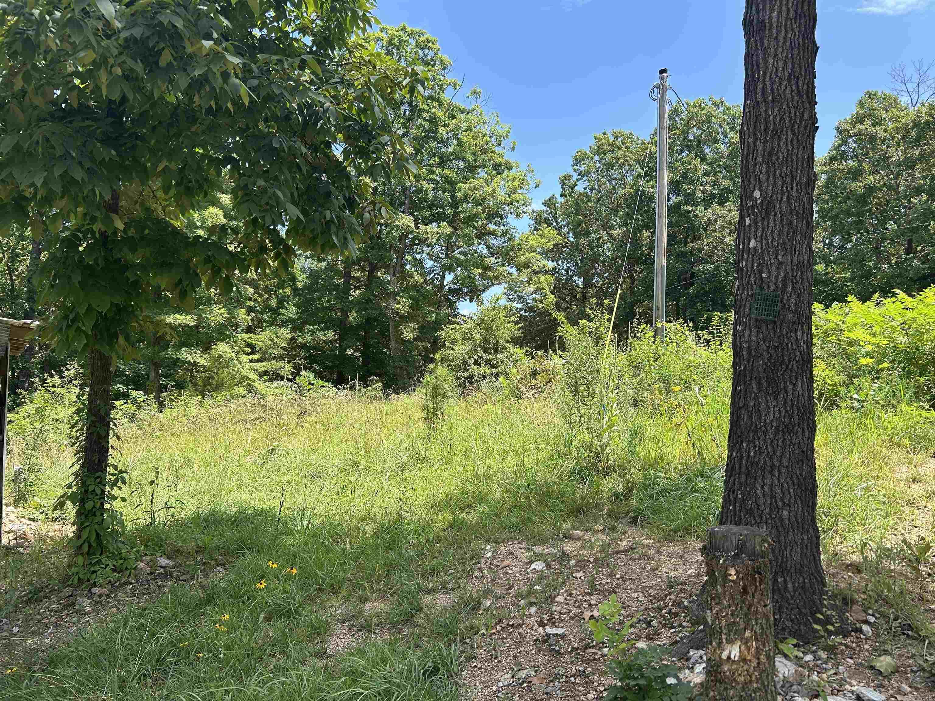 Photo 12 - Residential for sale – 58  Timber Ridge Rd.   Mammoth Spring, AR