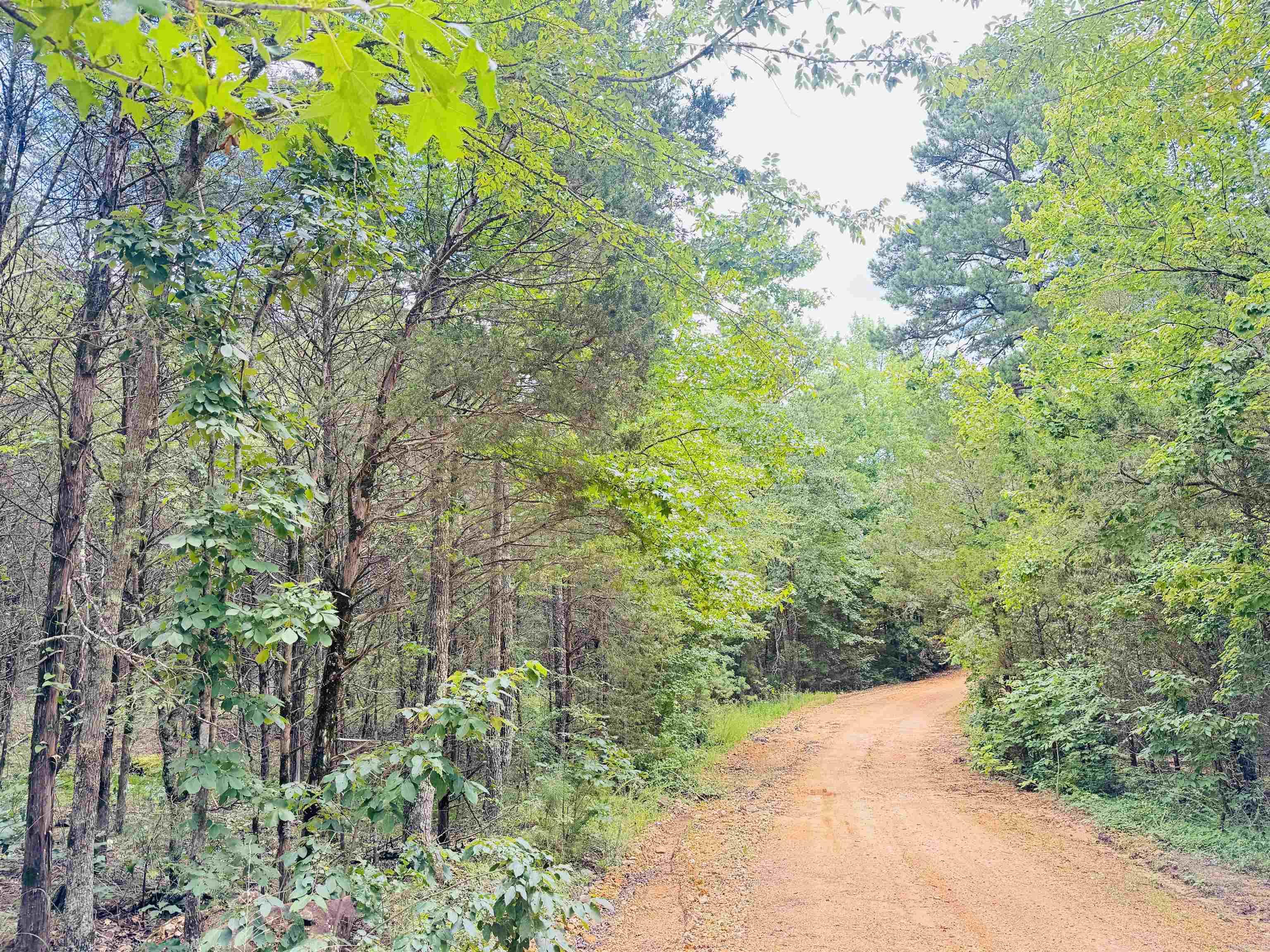 Photo 11 - Vacant Land for sale –   Fisher Road   Melbourne, AR