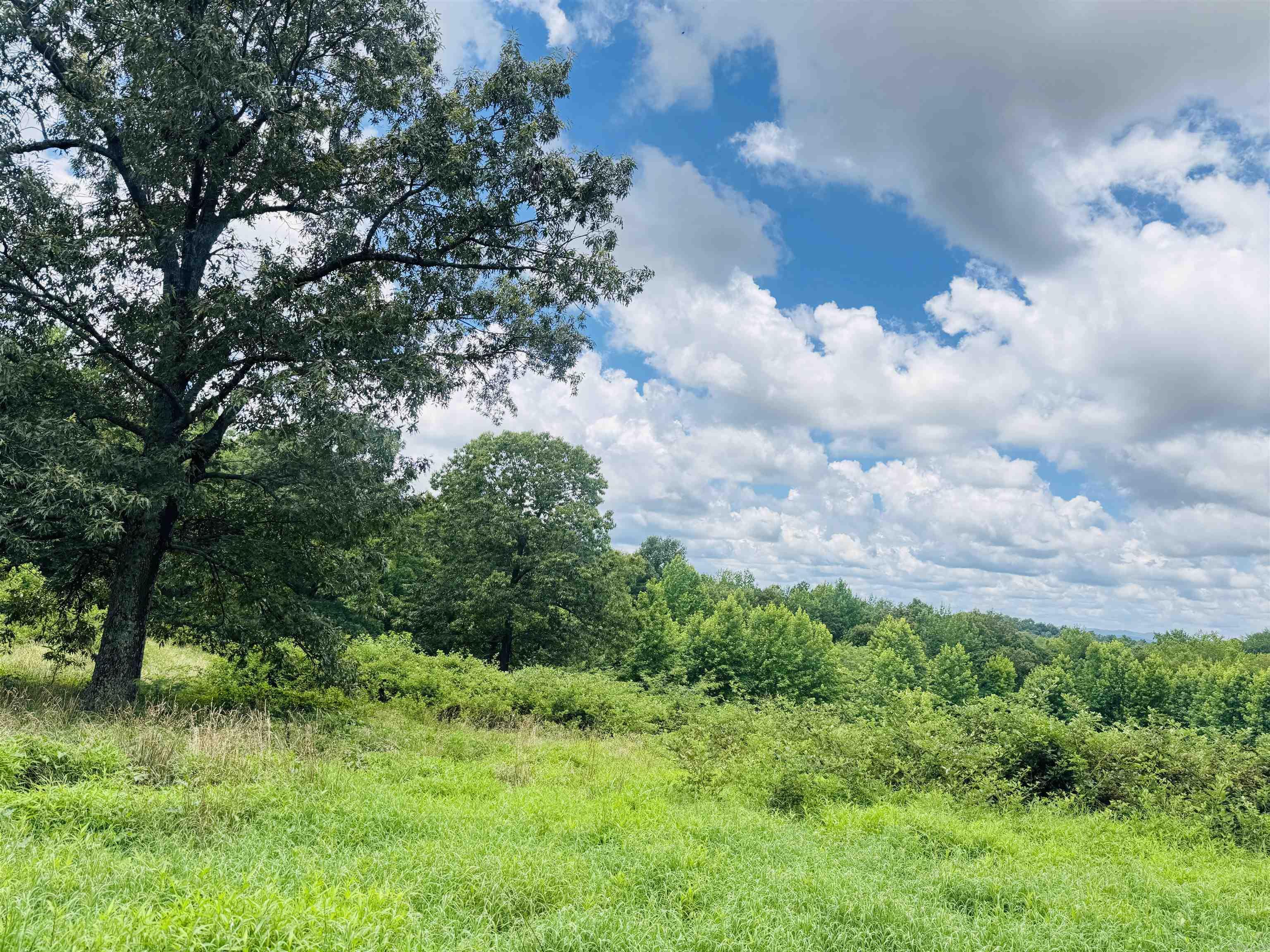 Photo 5 - Vacant Land for sale –   Fisher Road   Melbourne, AR