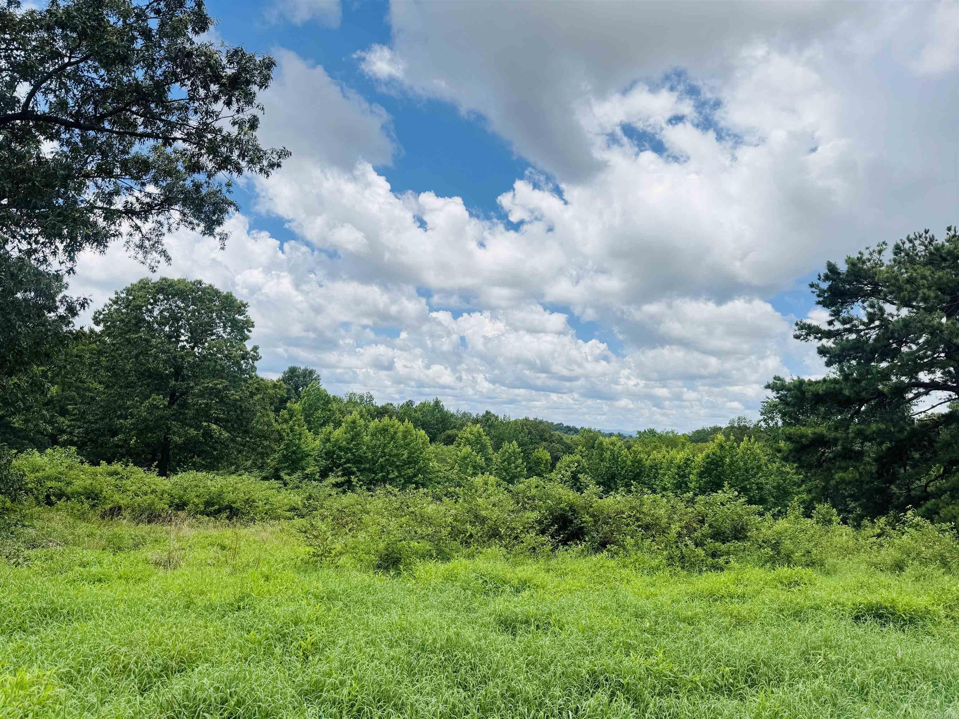 Photo 6 - Vacant Land for sale –   Fisher Road   Melbourne, AR