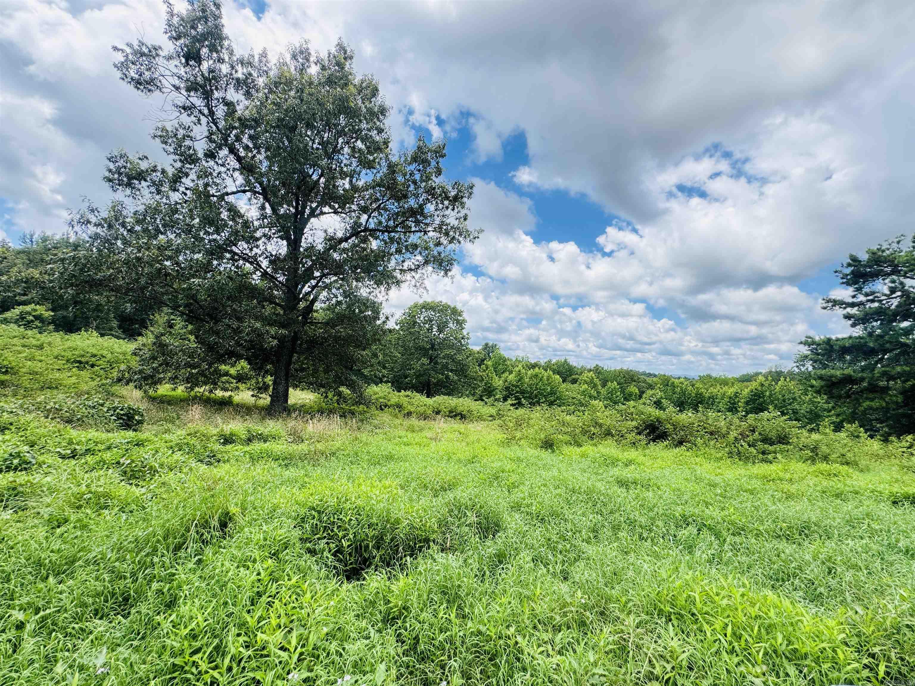 Photo 7 - Vacant Land for sale –   Fisher Road   Melbourne, AR