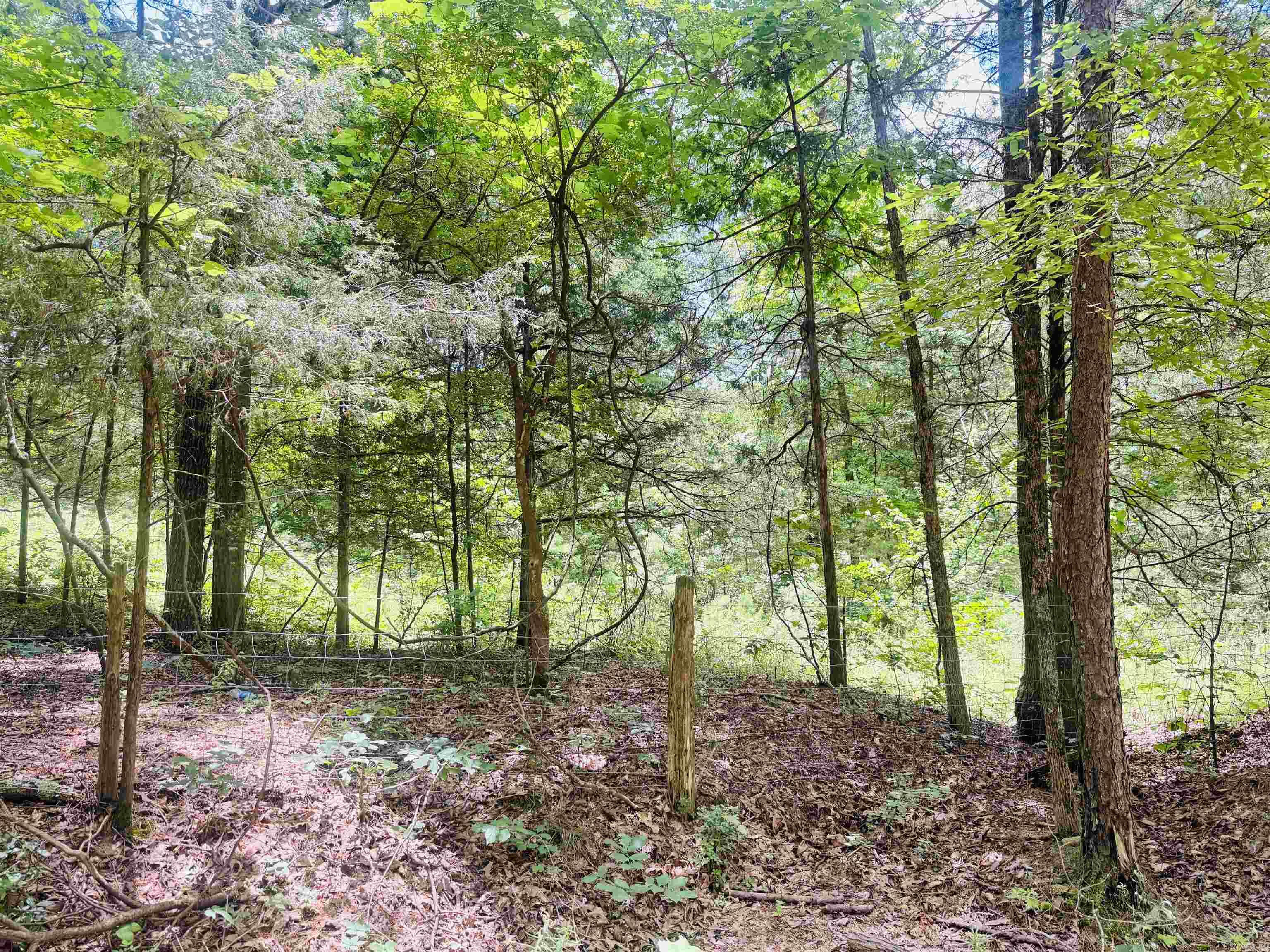 Photo 8 - Vacant Land for sale –   Fisher Road   Melbourne, AR