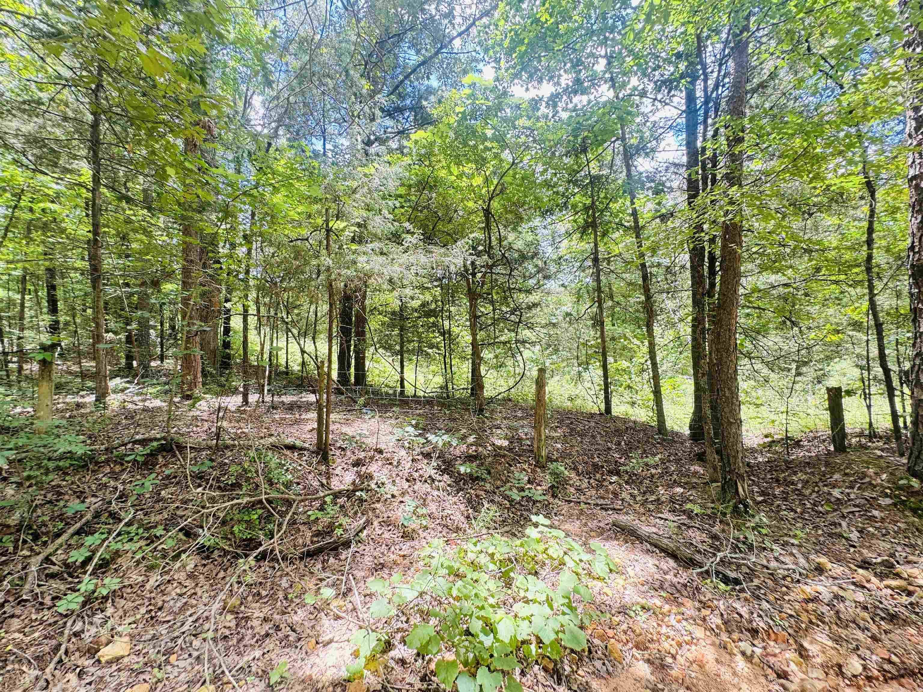 Photo 9 - Vacant Land for sale –   Fisher Road   Melbourne, AR
