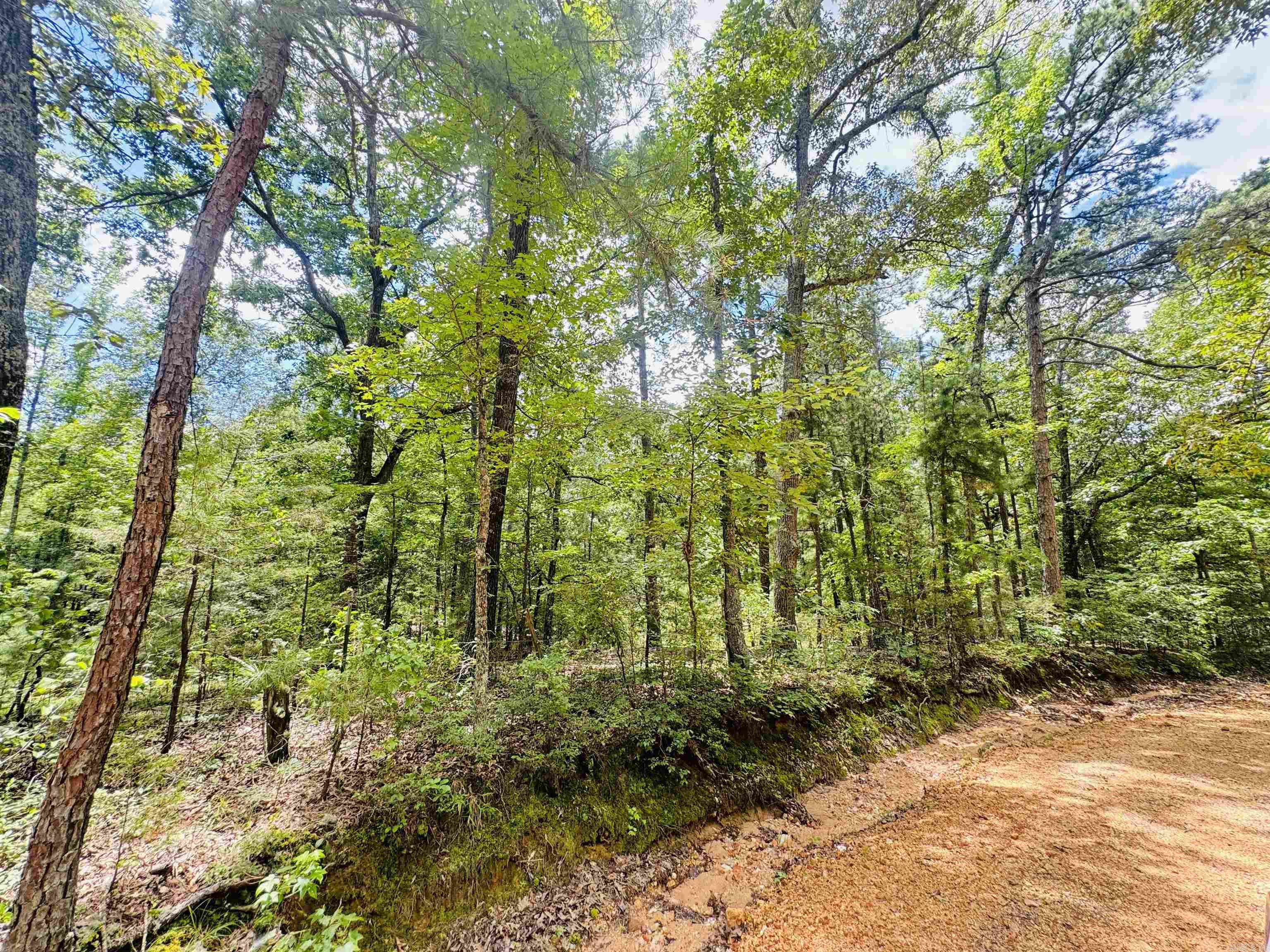 Photo 10 - Vacant Land for sale –   Fisher Road   Melbourne, AR