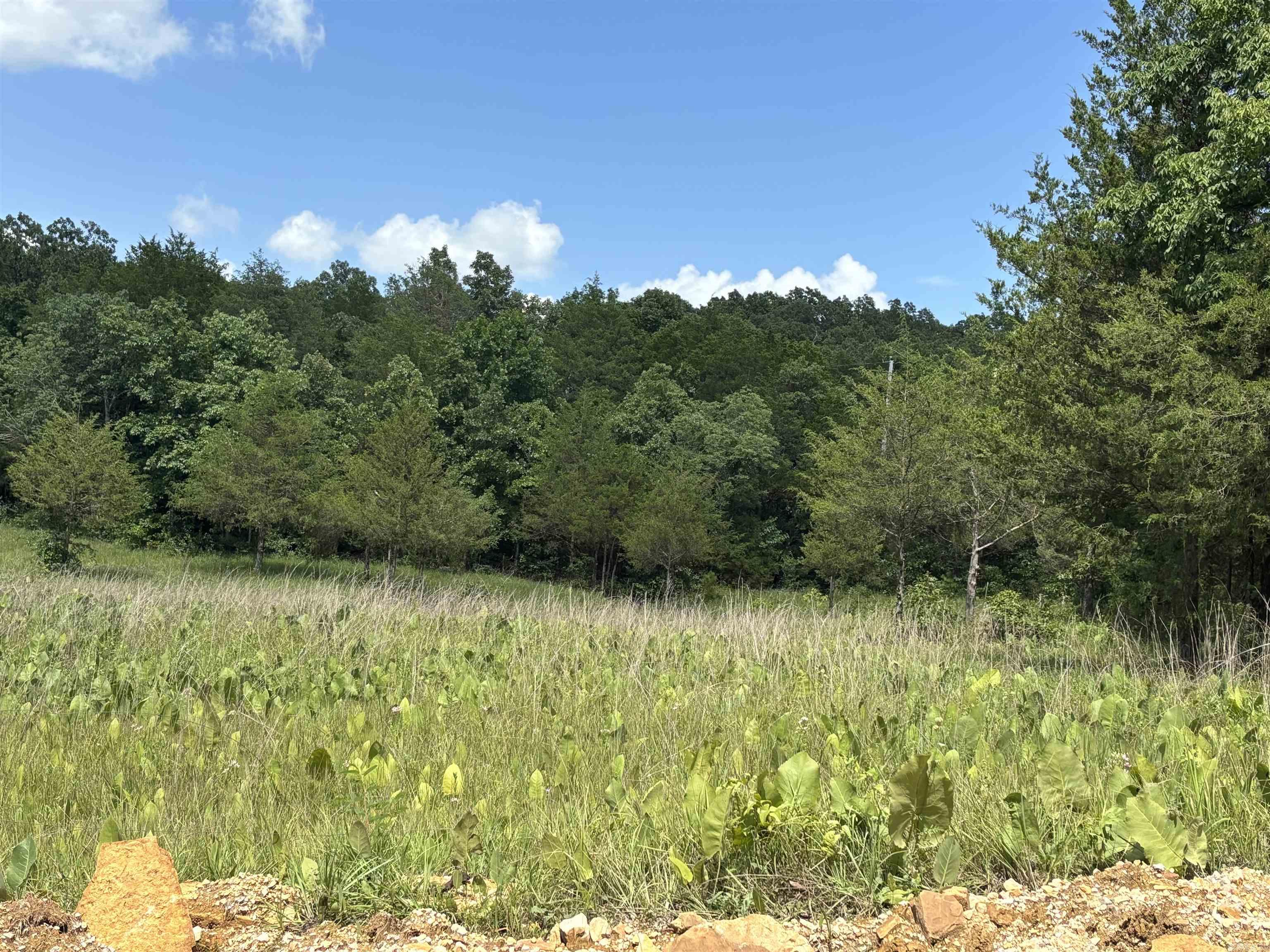 Vacant Land for sale –   Powells Chapel   Evening Shade, AR