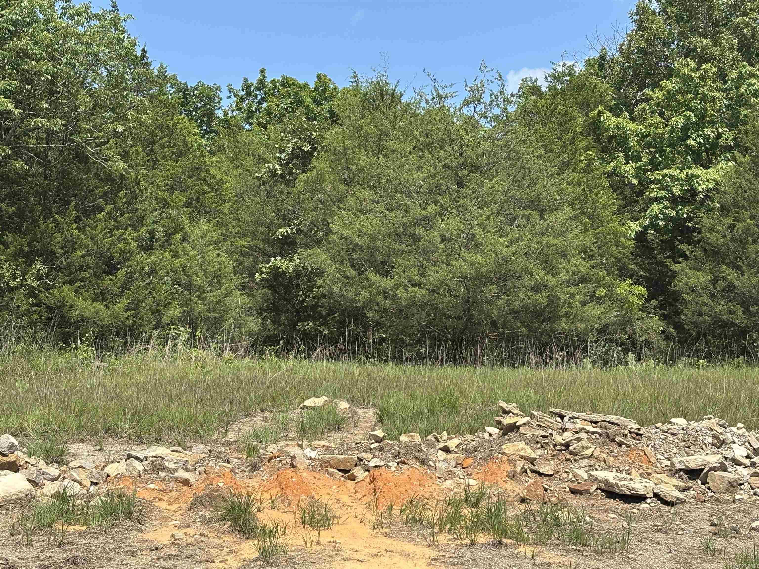 Photo 2 - Vacant Land for sale –   Powells Chapel   Evening Shade, AR