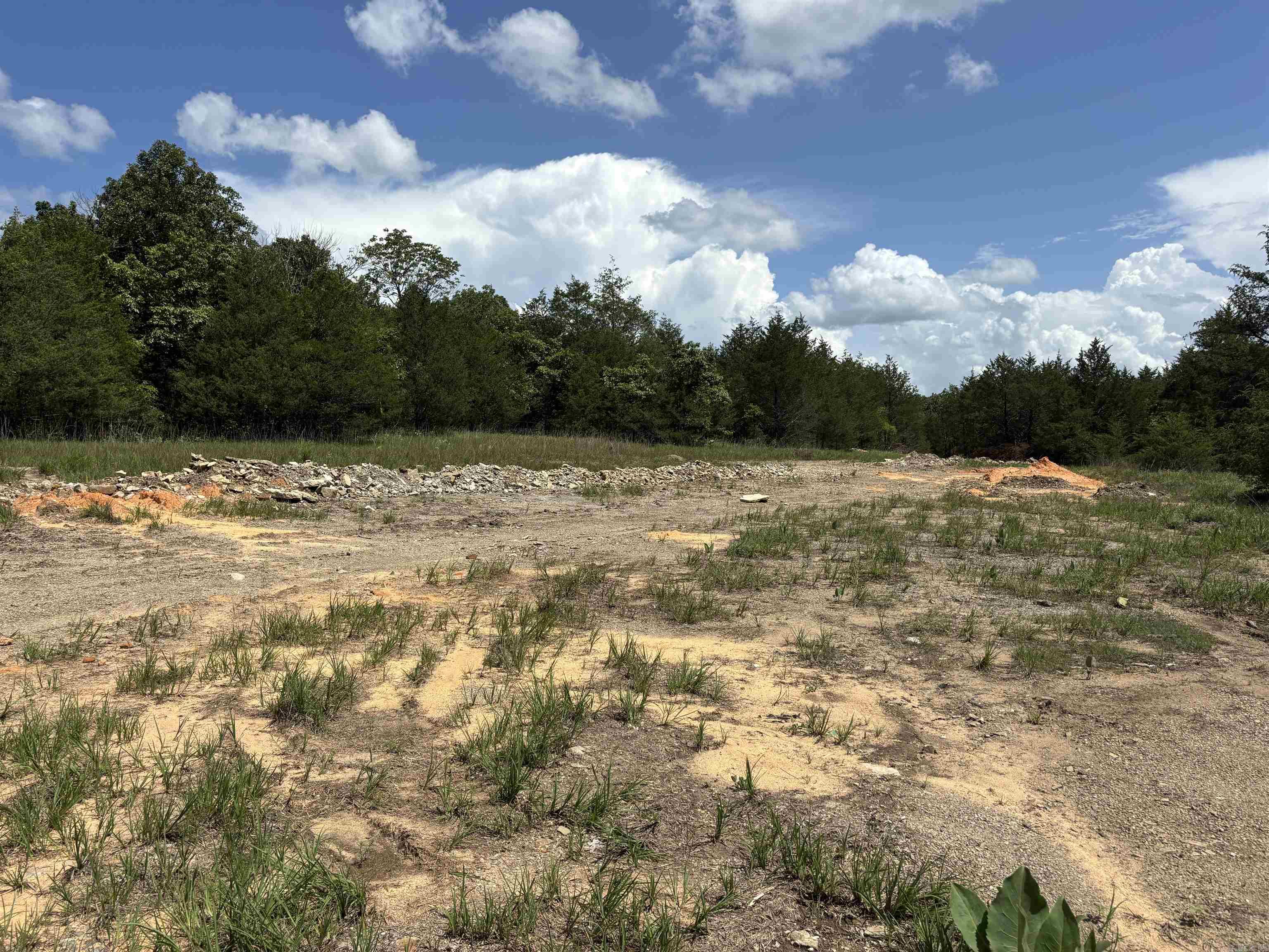 Photo 3 - Vacant Land for sale –   Powells Chapel   Evening Shade, AR