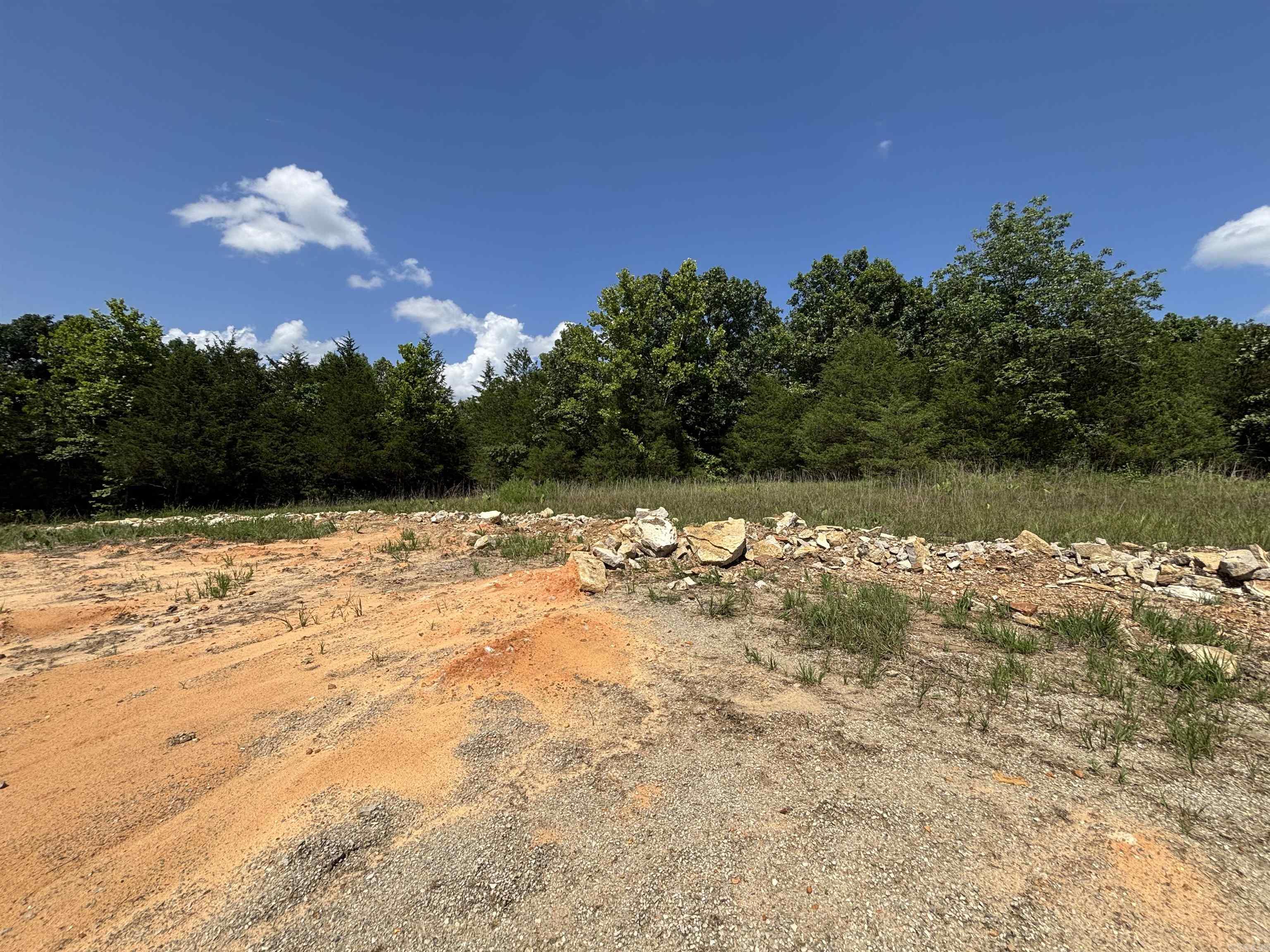 Photo 4 - Vacant Land for sale –   Powells Chapel   Evening Shade, AR