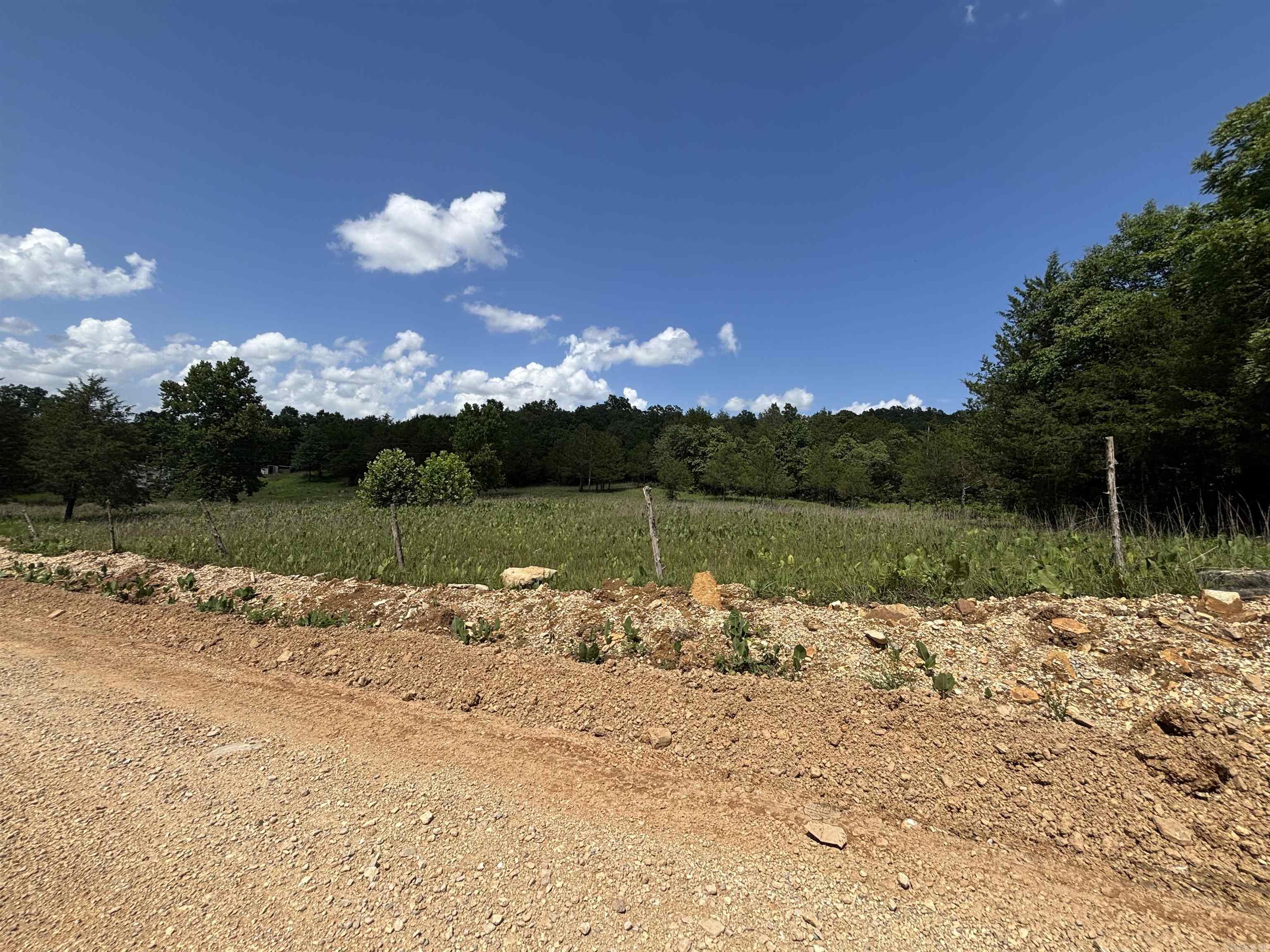 Photo 5 - Vacant Land for sale –   Powells Chapel   Evening Shade, AR