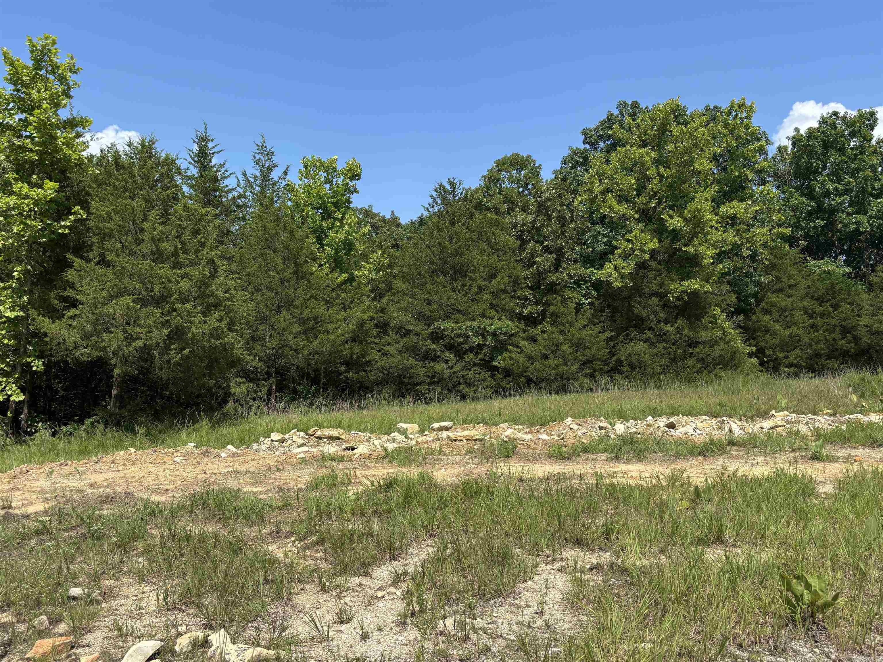 Photo 6 - Vacant Land for sale –   Powells Chapel   Evening Shade, AR