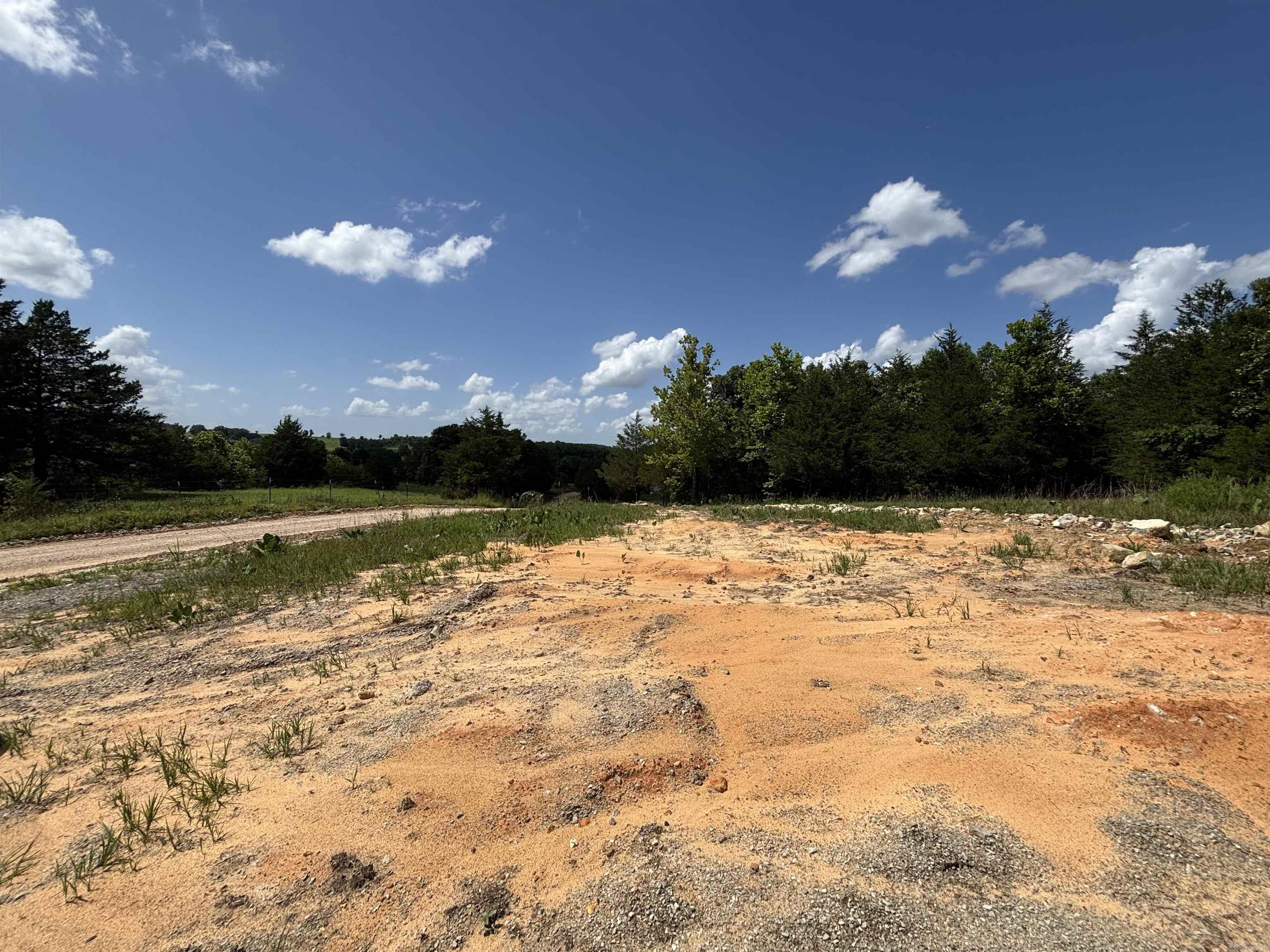 Photo 7 - Vacant Land for sale –   Powells Chapel   Evening Shade, AR