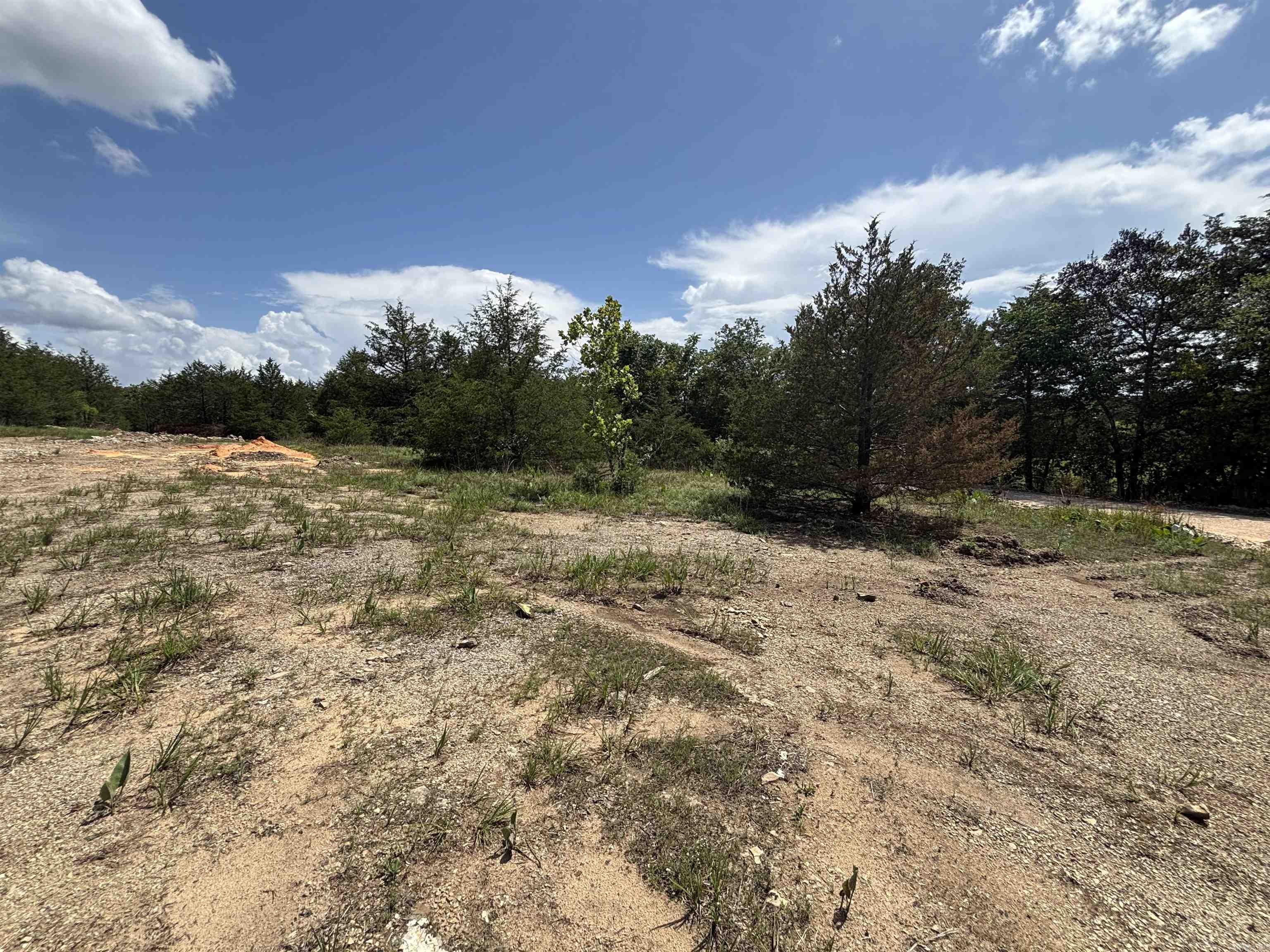 Photo 8 - Vacant Land for sale –   Powells Chapel   Evening Shade, AR