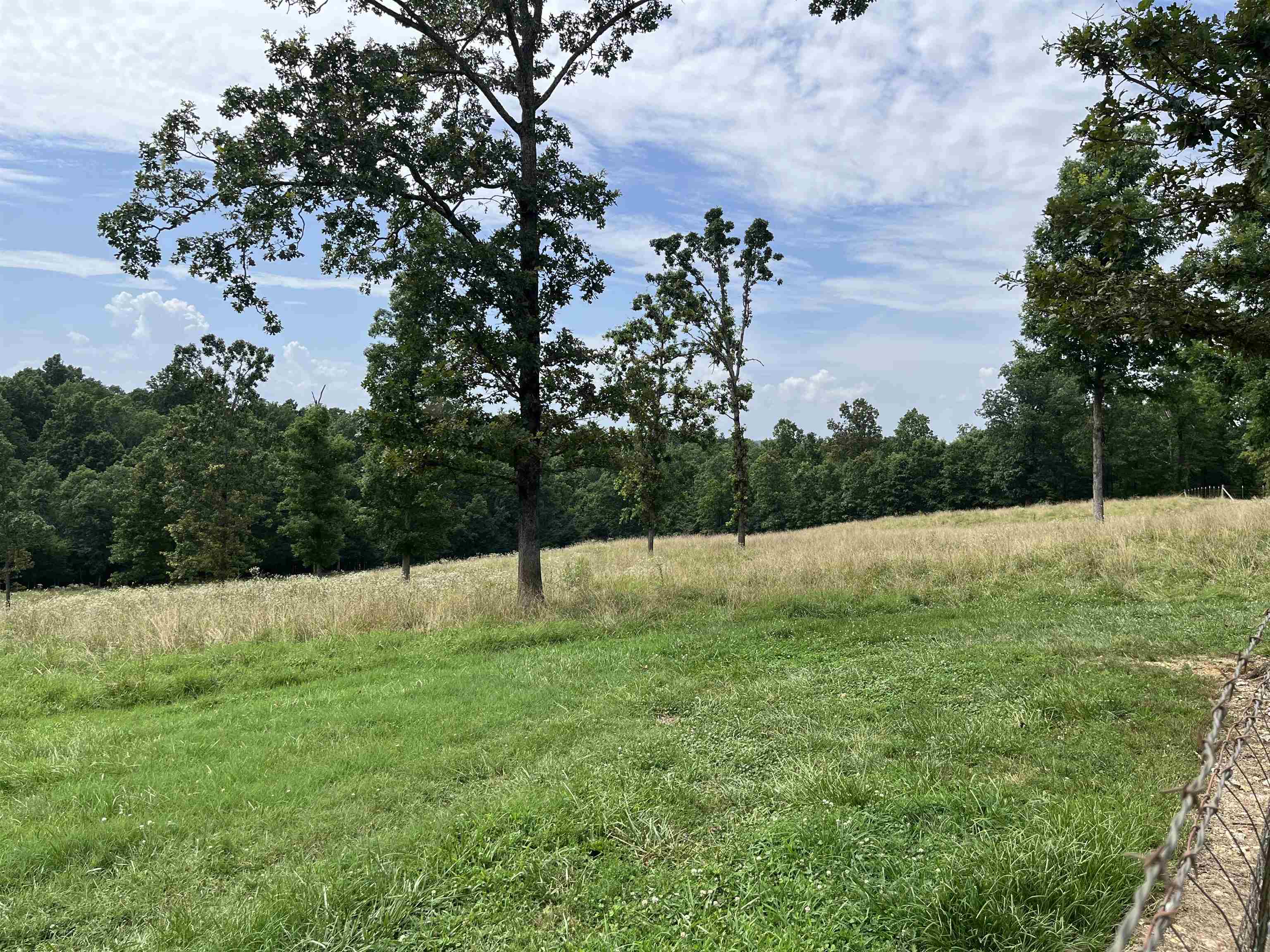 Photo 2 - Residential for sale – 385  Walnut Grove Circle   Mammoth Spring, AR