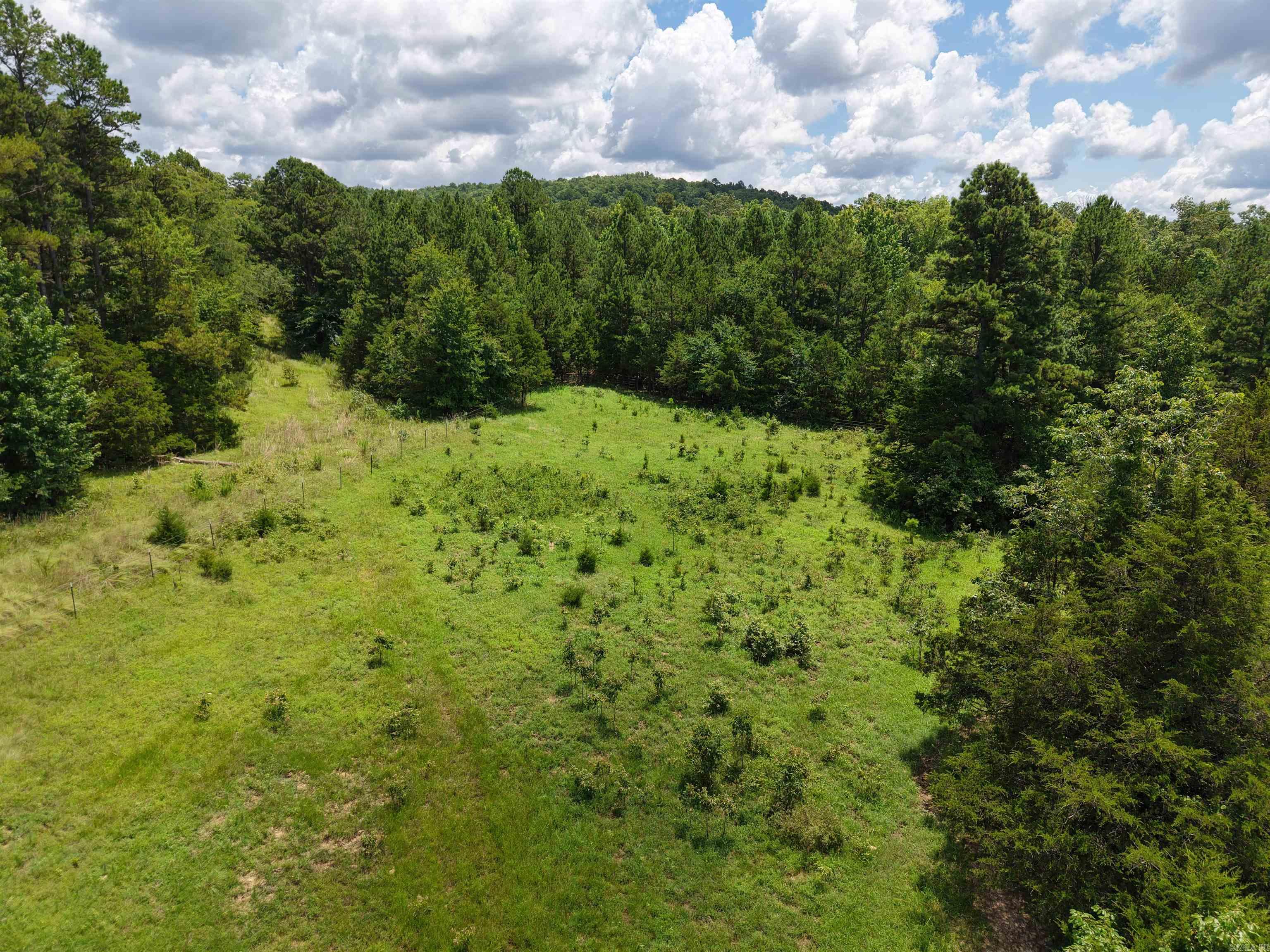 Photo 2 - Vacant Land for sale – 2430  Gorby Road   Calico Rock, AR