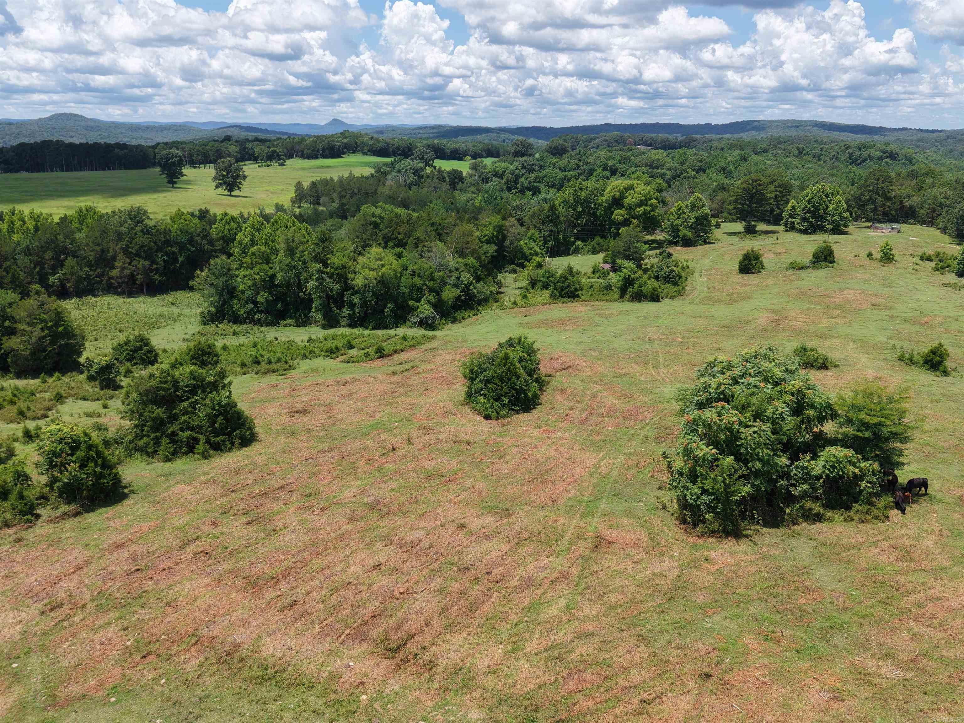Photo 11 - Vacant Land for sale – 2430  Gorby Road   Calico Rock, AR