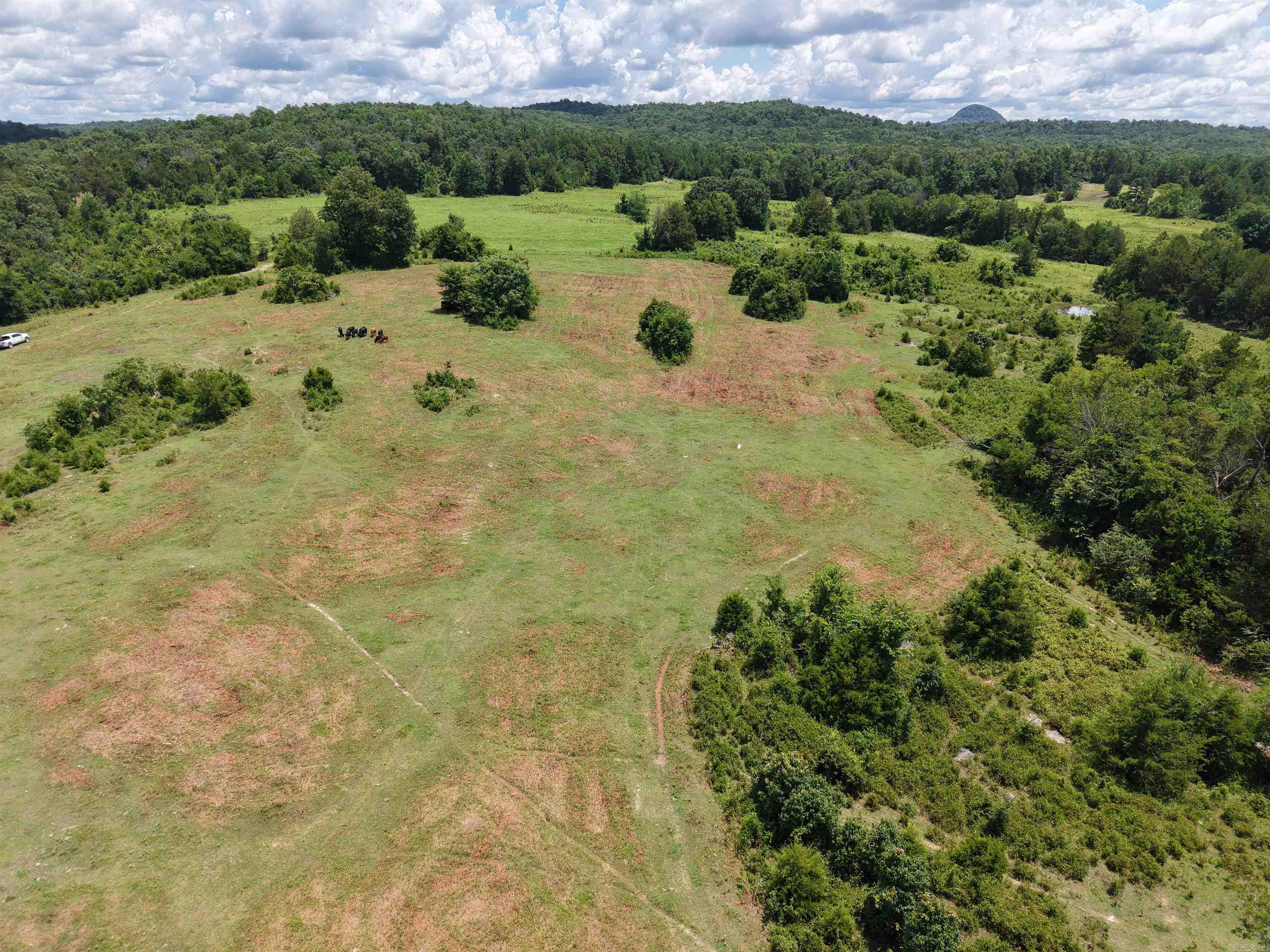 Photo 13 - Vacant Land for sale – 2430  Gorby Road   Calico Rock, AR