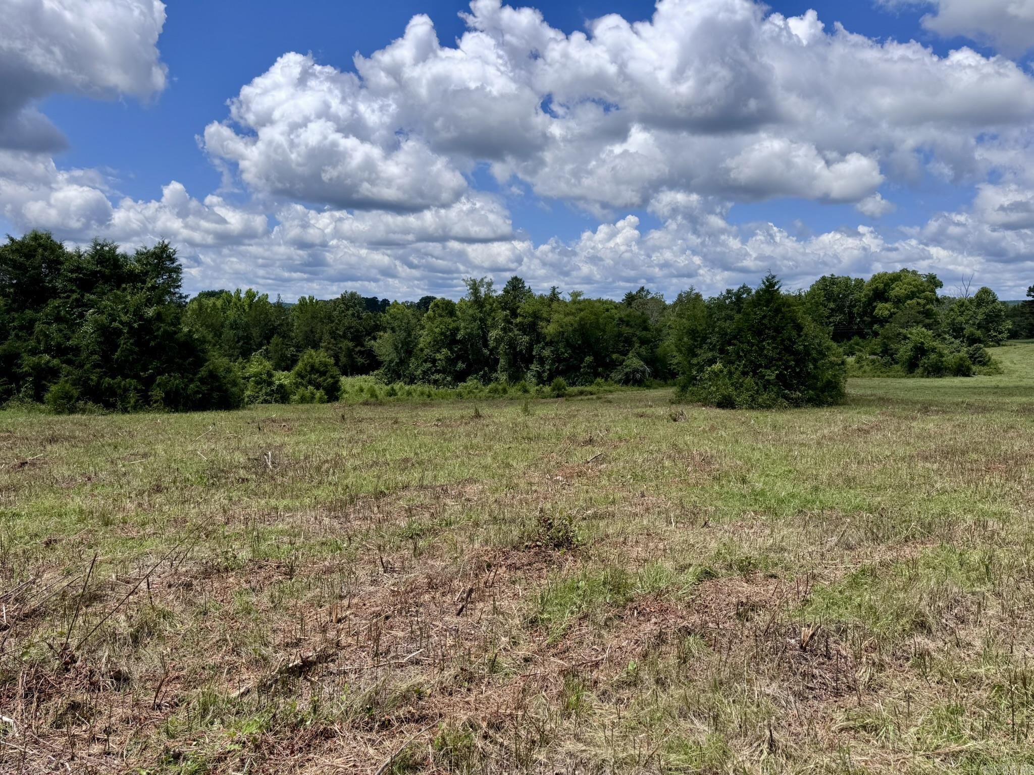 Photo 16 - Vacant Land for sale – 2430  Gorby Road   Calico Rock, AR