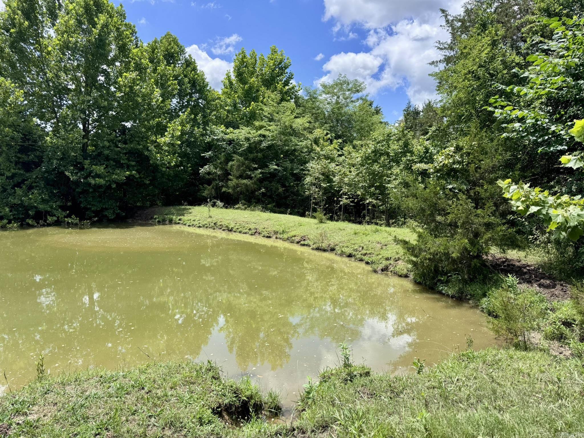 Photo 18 - Vacant Land for sale – 2430  Gorby Road   Calico Rock, AR