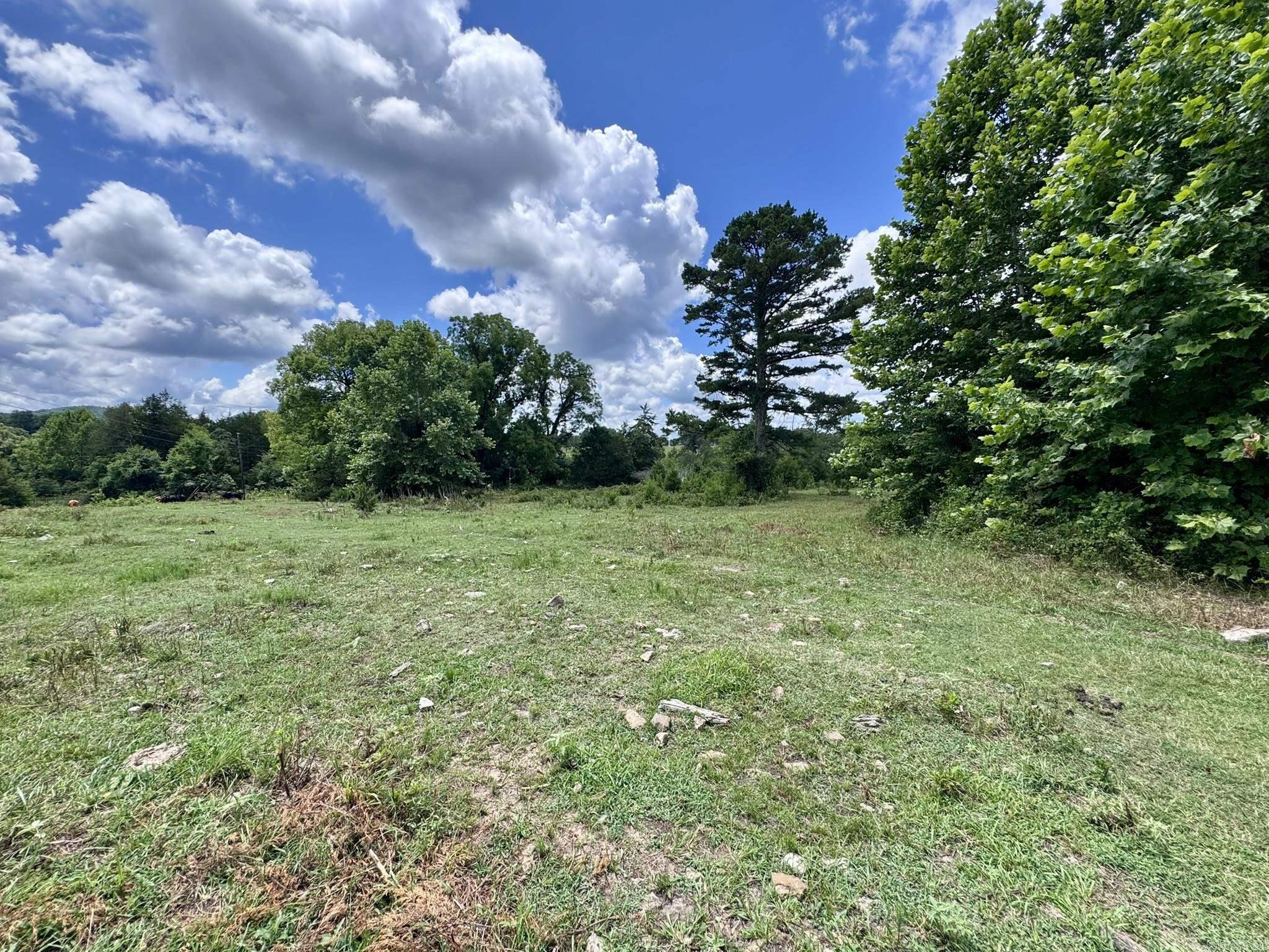 Photo 21 - Vacant Land for sale – 2430  Gorby Road   Calico Rock, AR