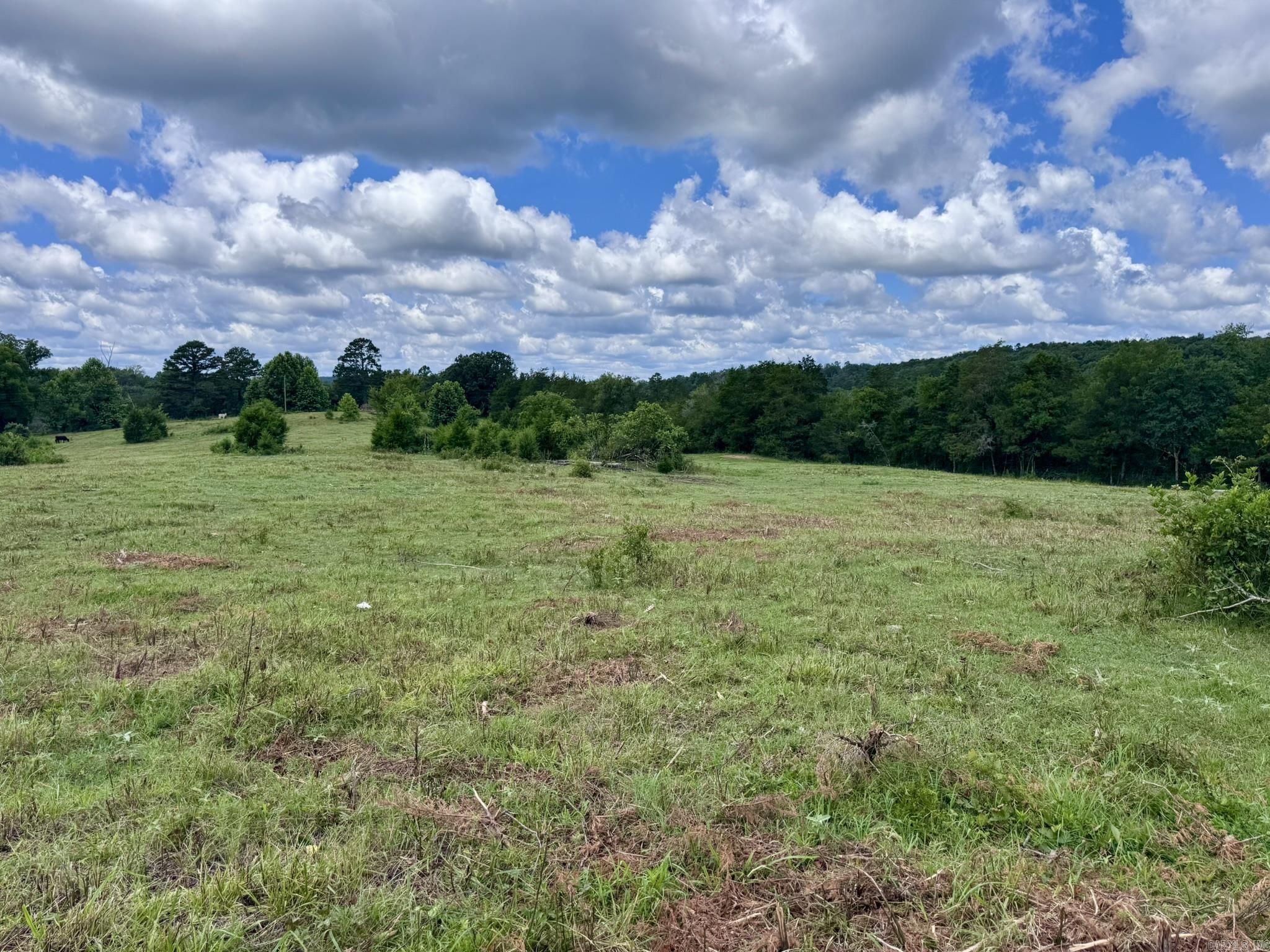Photo 22 - Vacant Land for sale – 2430  Gorby Road   Calico Rock, AR