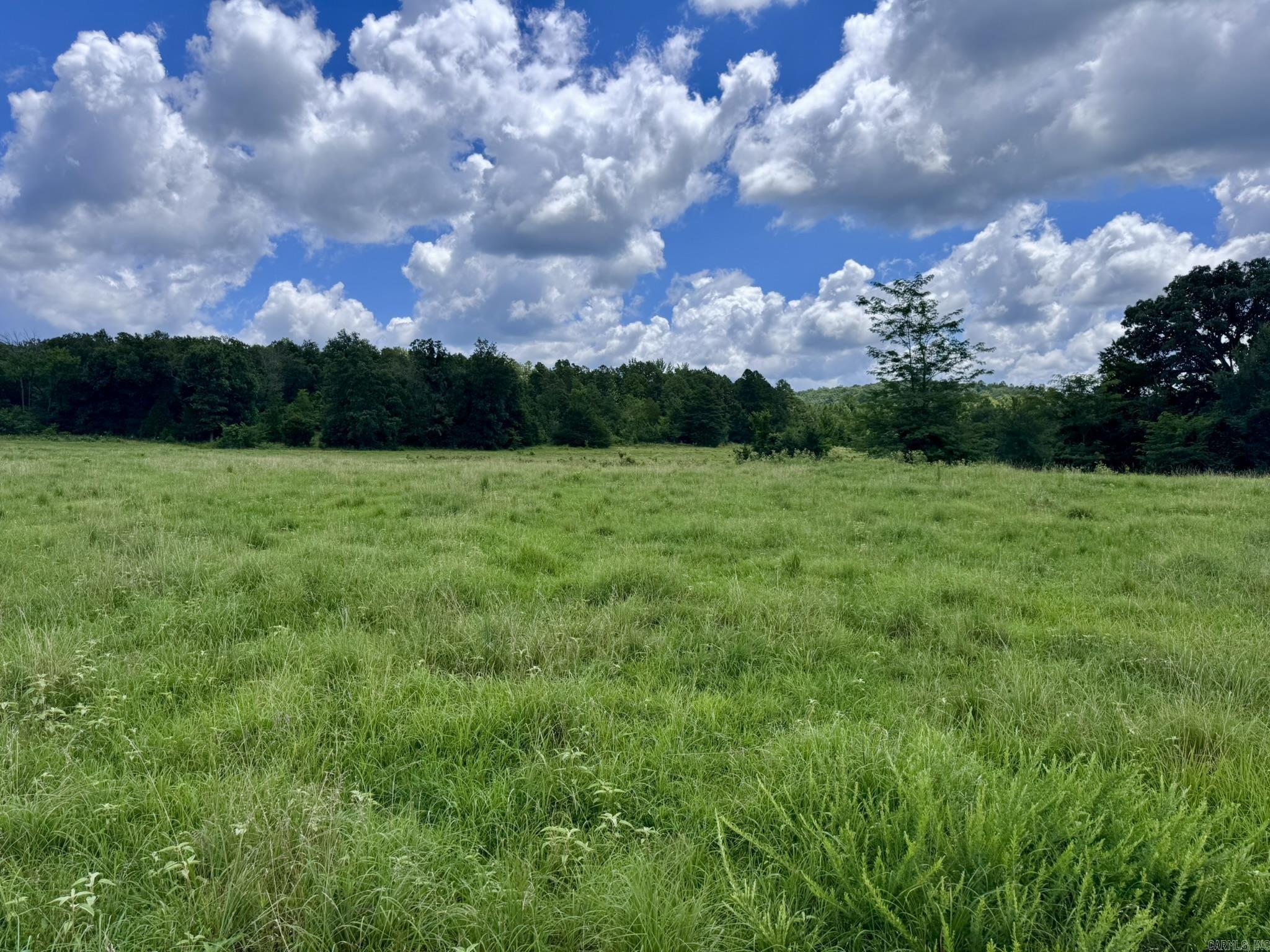 Photo 23 - Vacant Land for sale – 2430  Gorby Road   Calico Rock, AR
