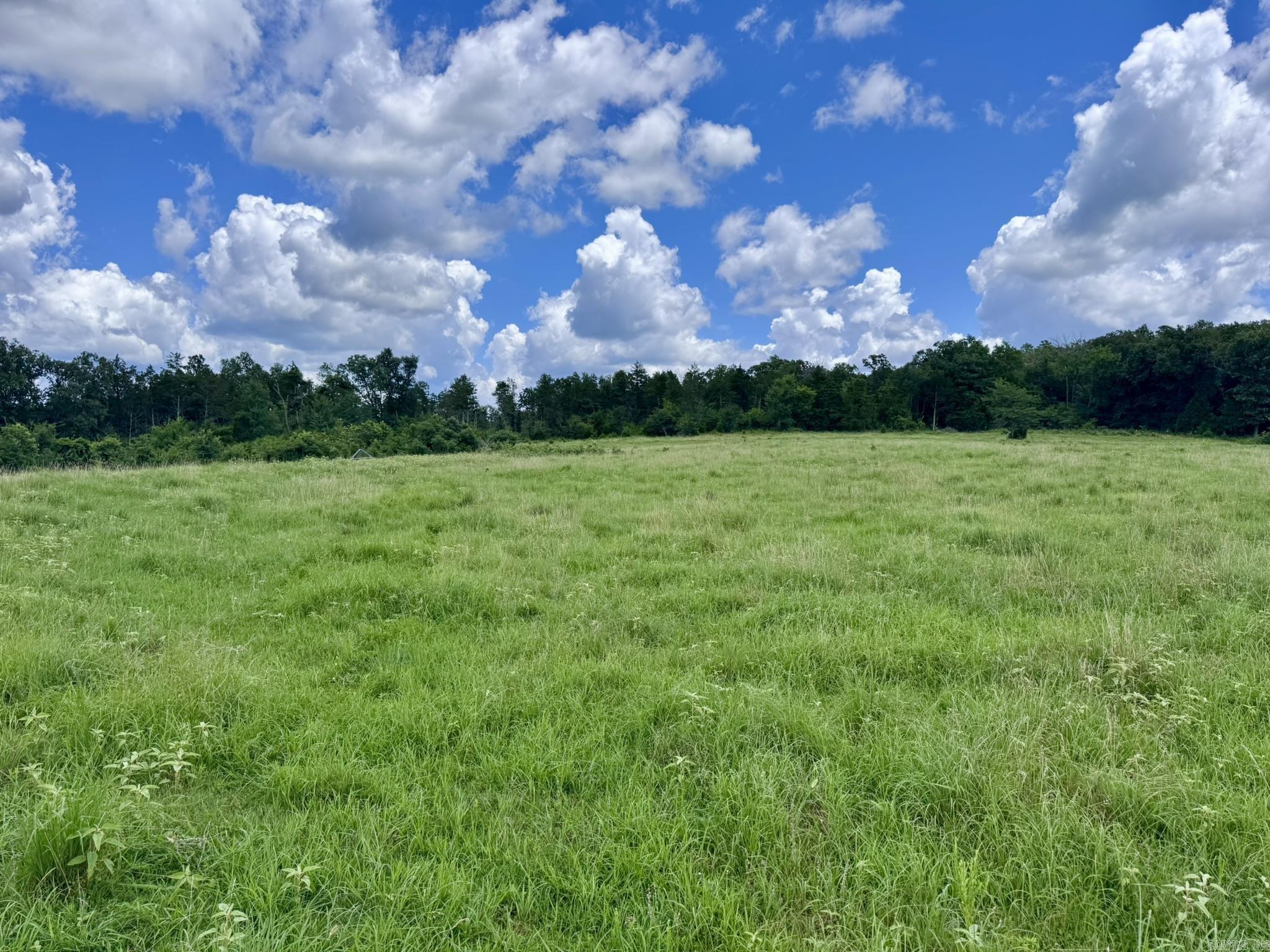 Photo 24 - Vacant Land for sale – 2430  Gorby Road   Calico Rock, AR