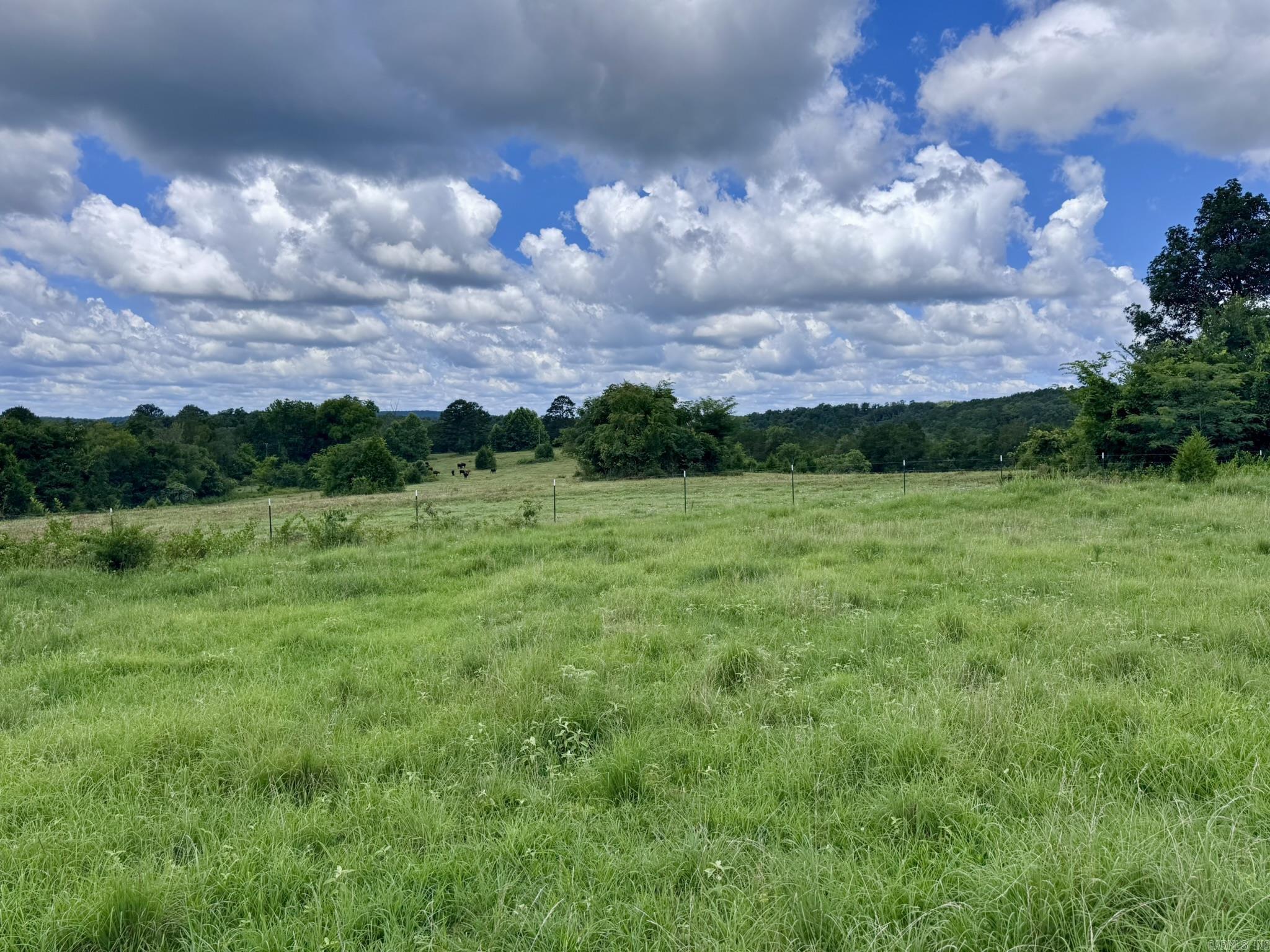 Photo 25 - Vacant Land for sale – 2430  Gorby Road   Calico Rock, AR