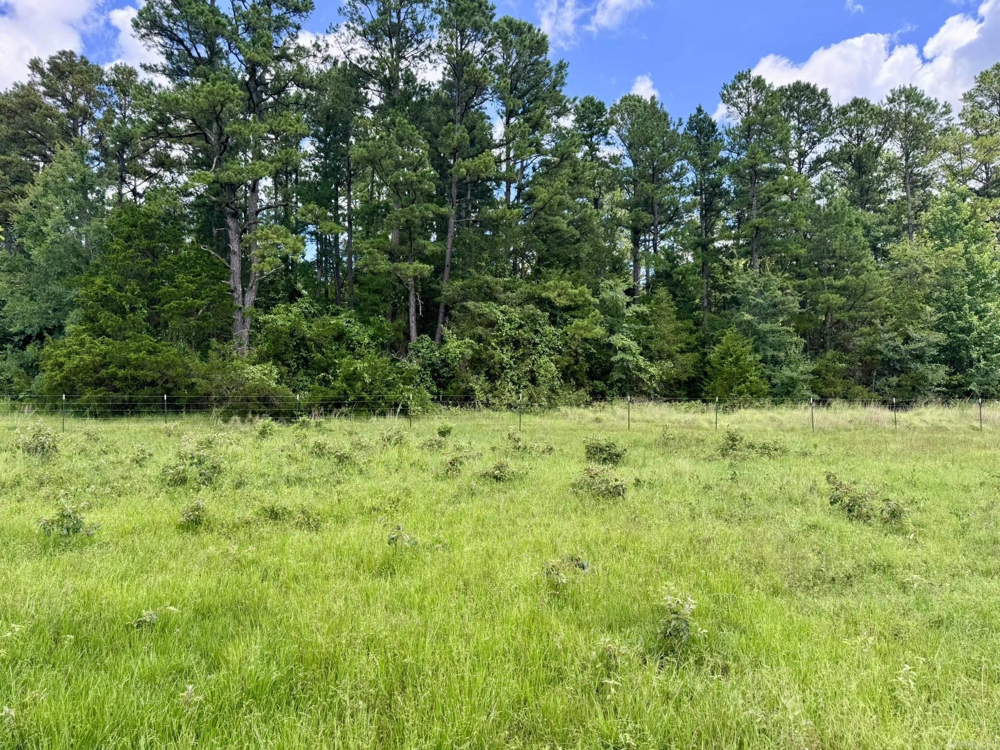 Photo 27 - Vacant Land for sale – 2430  Gorby Road   Calico Rock, AR