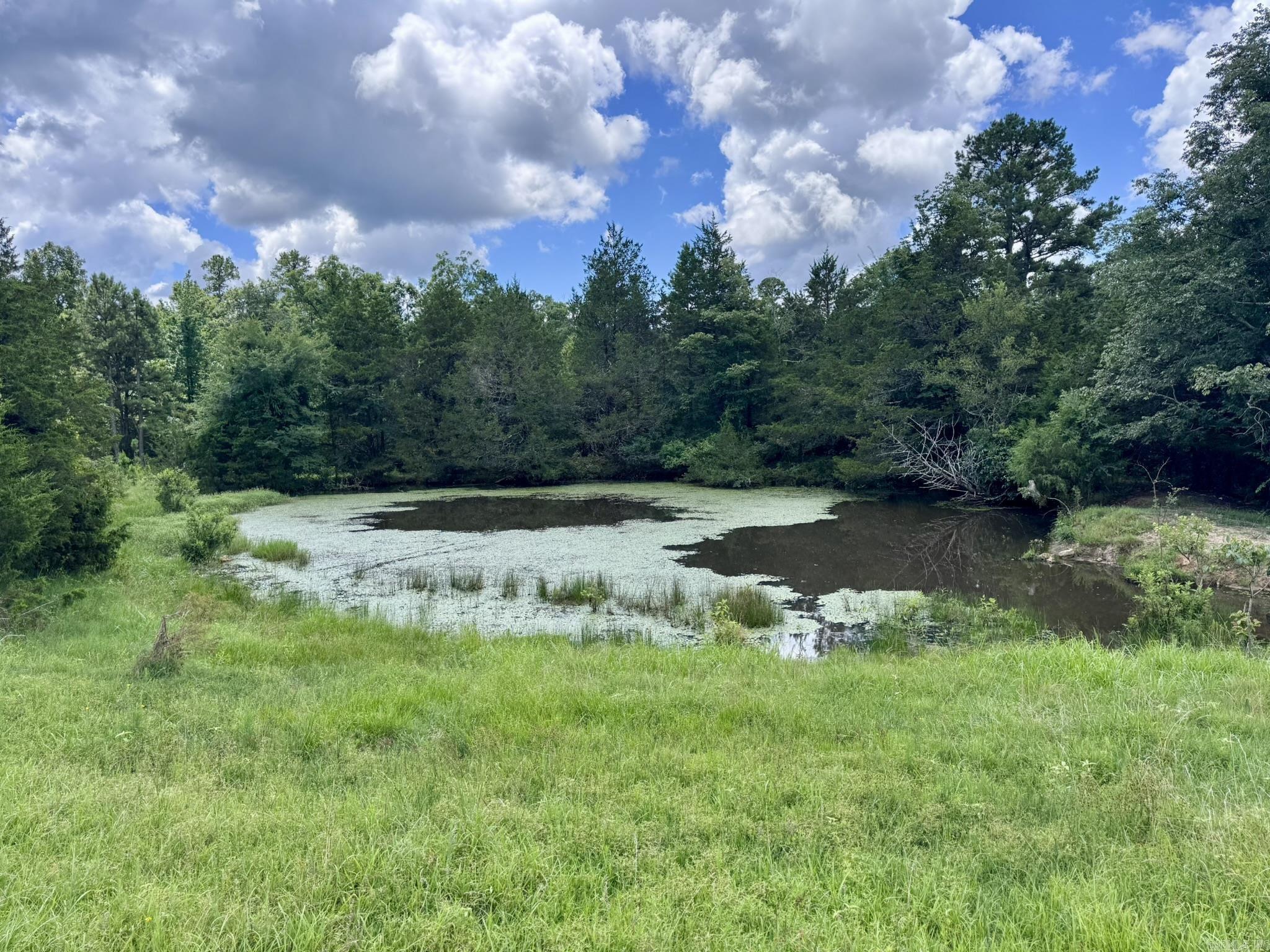 Photo 28 - Vacant Land for sale – 2430  Gorby Road   Calico Rock, AR