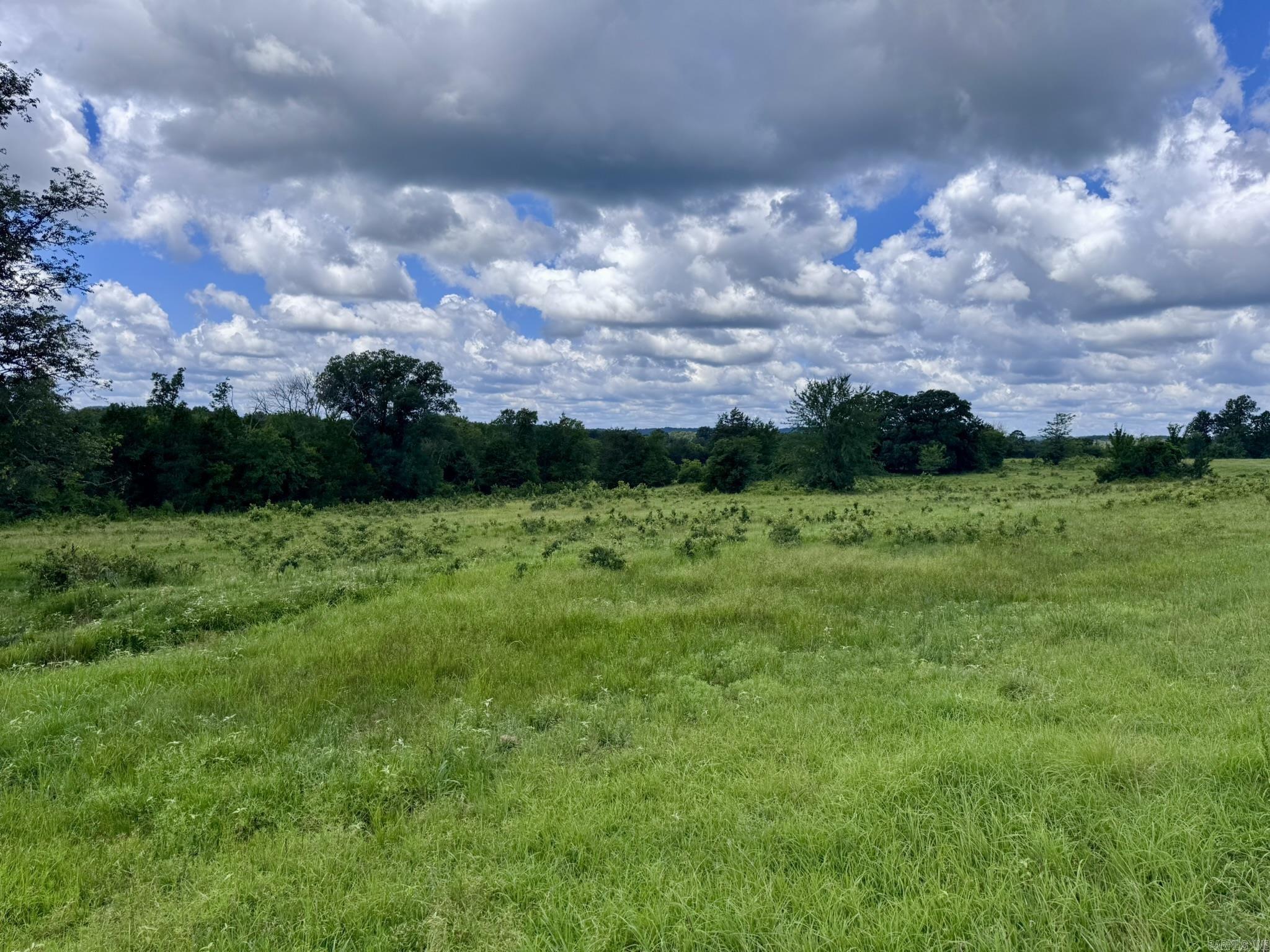 Photo 29 - Vacant Land for sale – 2430  Gorby Road   Calico Rock, AR