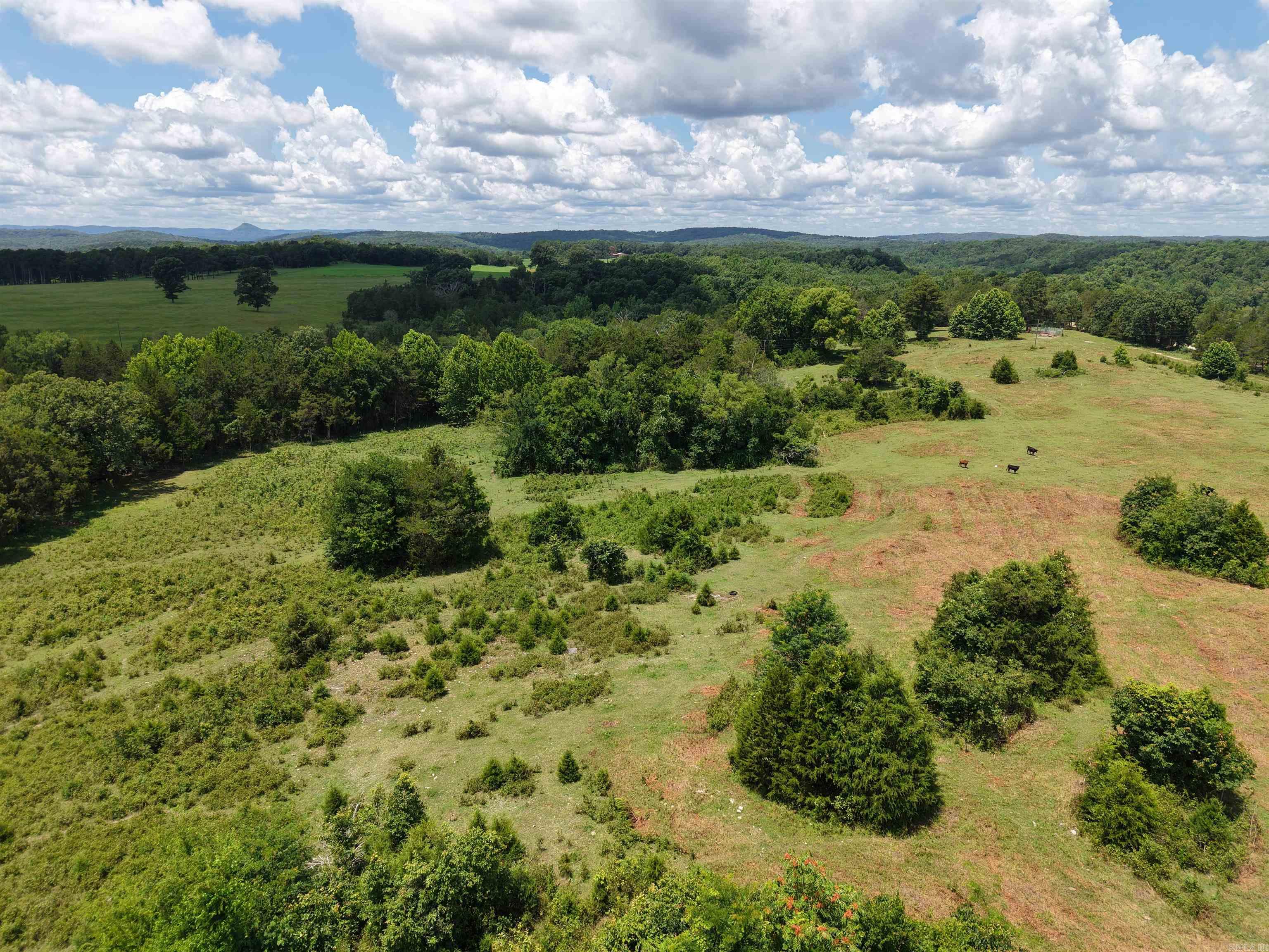 Photo 9 - Vacant Land for sale – 2430  Gorby Road   Calico Rock, AR