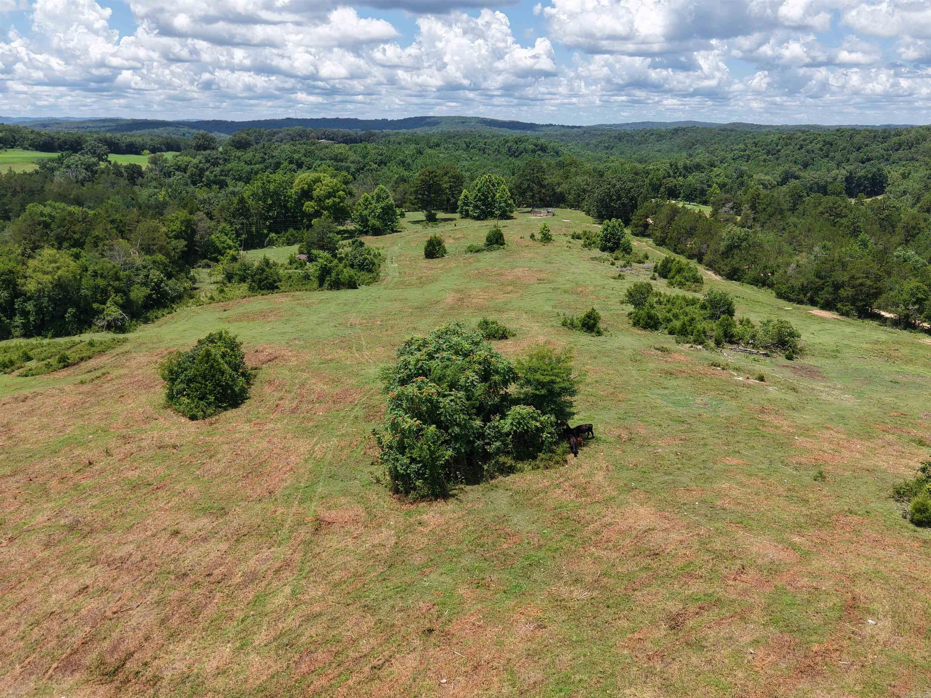 Photo 10 - Vacant Land for sale – 2430  Gorby Road   Calico Rock, AR