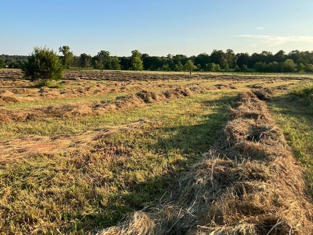 Photo 2 - Vacant Land for sale – 0  Fairview   Salem, AR