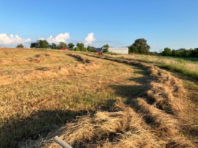 Photo 13 - Vacant Land for sale – 0  Fairview   Salem, AR