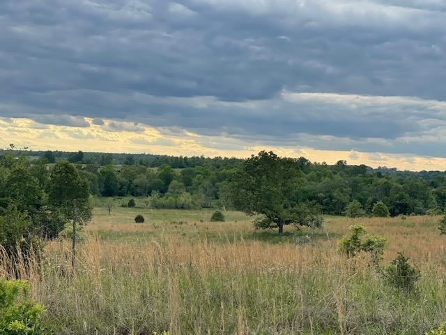 Photo 14 - Vacant Land for sale – 0  Fairview   Salem, AR