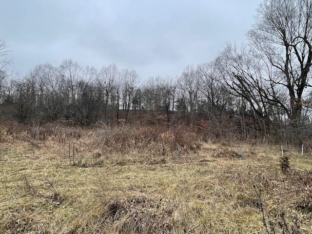 Photo 21 - Vacant Land for sale – 0  Fairview   Salem, AR
