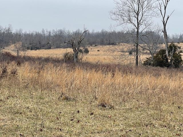 Photo 24 - Vacant Land for sale – 0  Fairview   Salem, AR