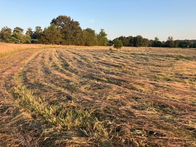 Photo 4 - Vacant Land for sale – 0  Fairview   Salem, AR