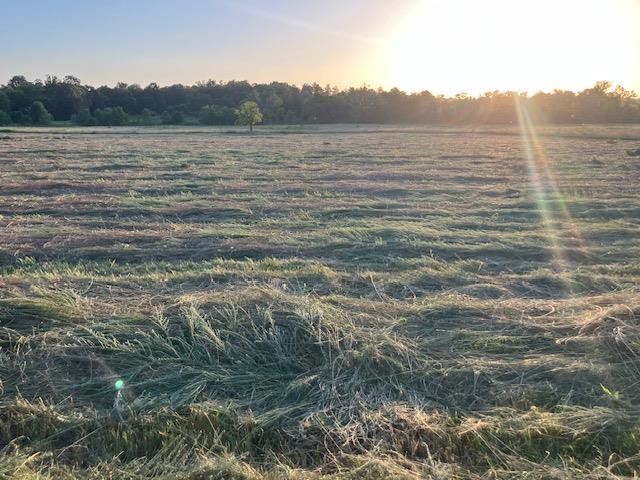 Photo 9 - Vacant Land for sale – 0  Fairview   Salem, AR