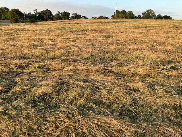 Photo 10 - Vacant Land for sale – 0  Fairview   Salem, AR