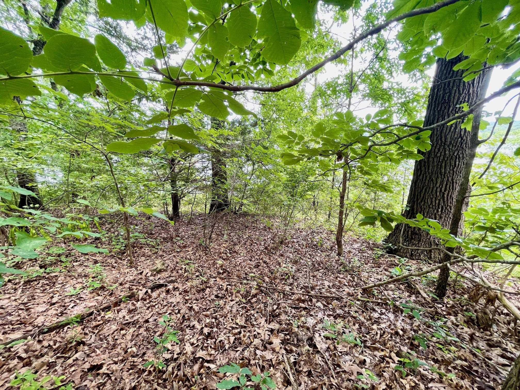 Photo 11 - Vacant Land for sale – 300  Isabella   Horseshoe Bend, AR