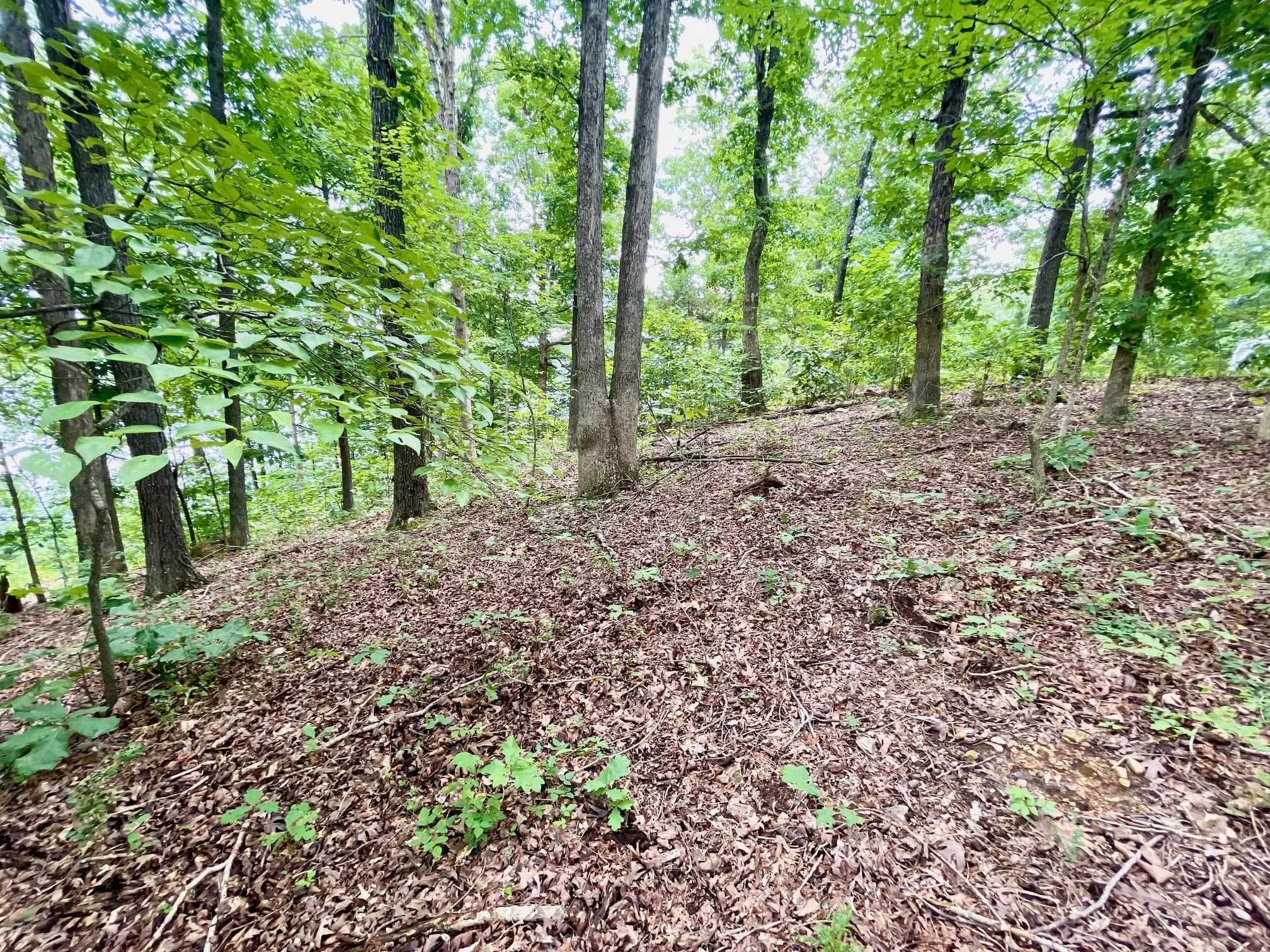 Photo 17 - Vacant Land for sale – 300  Isabella   Horseshoe Bend, AR