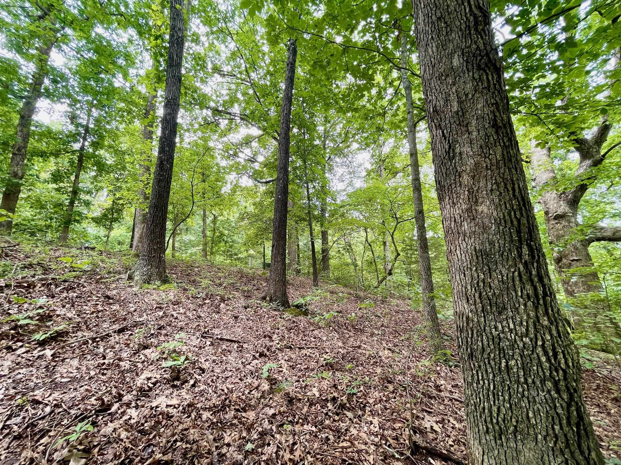 Photo 19 - Vacant Land for sale – 300  Isabella   Horseshoe Bend, AR