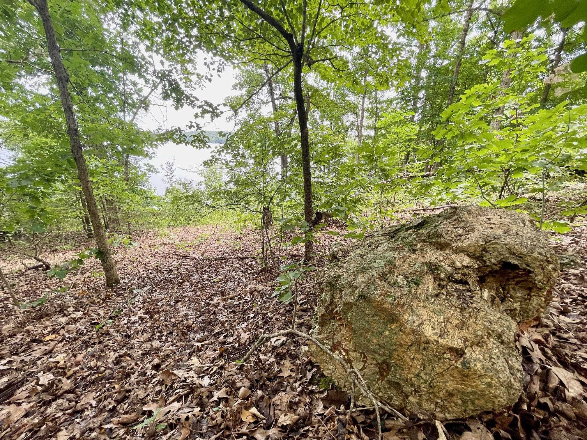 Photo 20 - Vacant Land for sale – 300  Isabella   Horseshoe Bend, AR