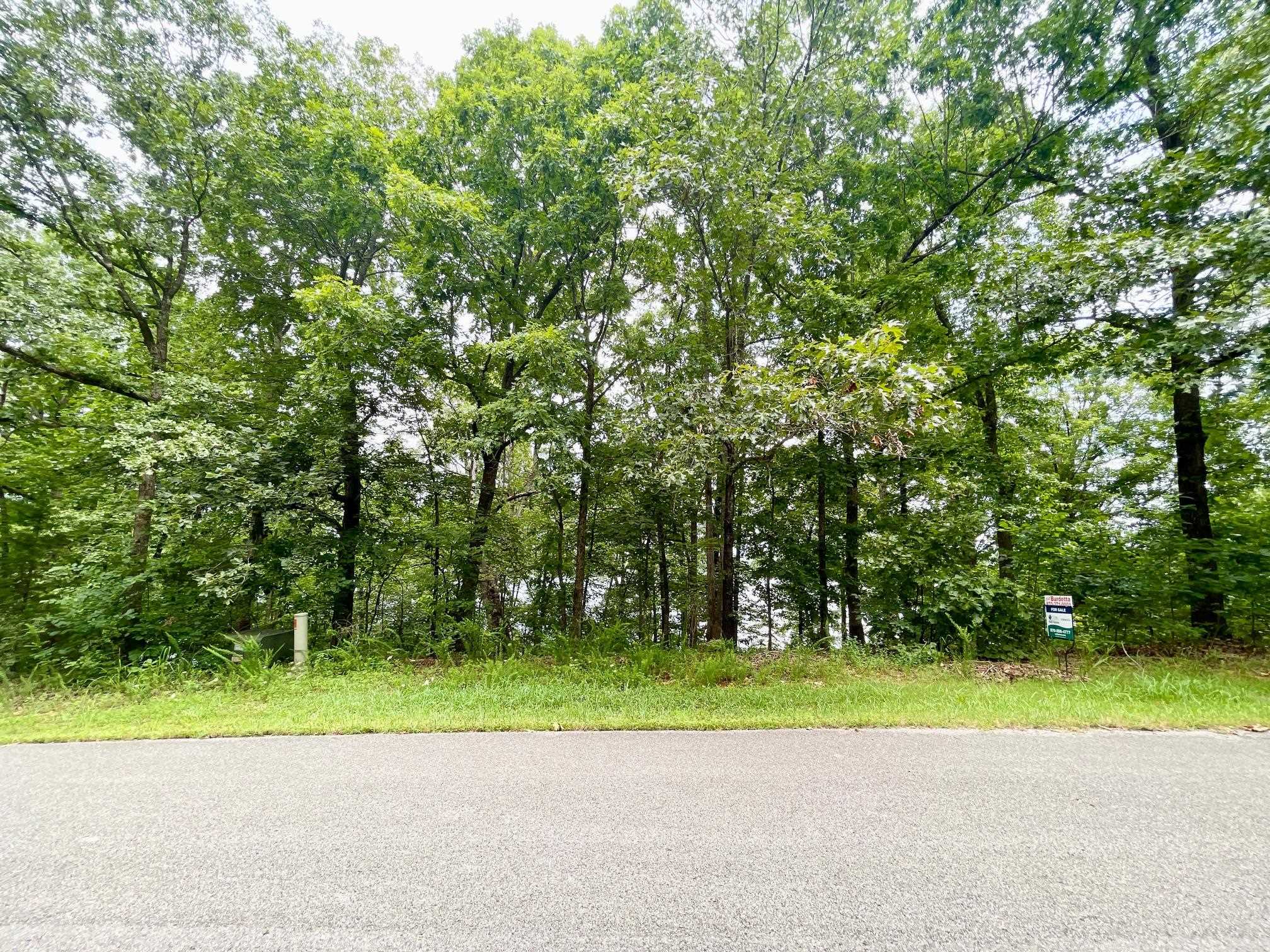 Photo 3 - Vacant Land for sale – 300  Isabella   Horseshoe Bend, AR