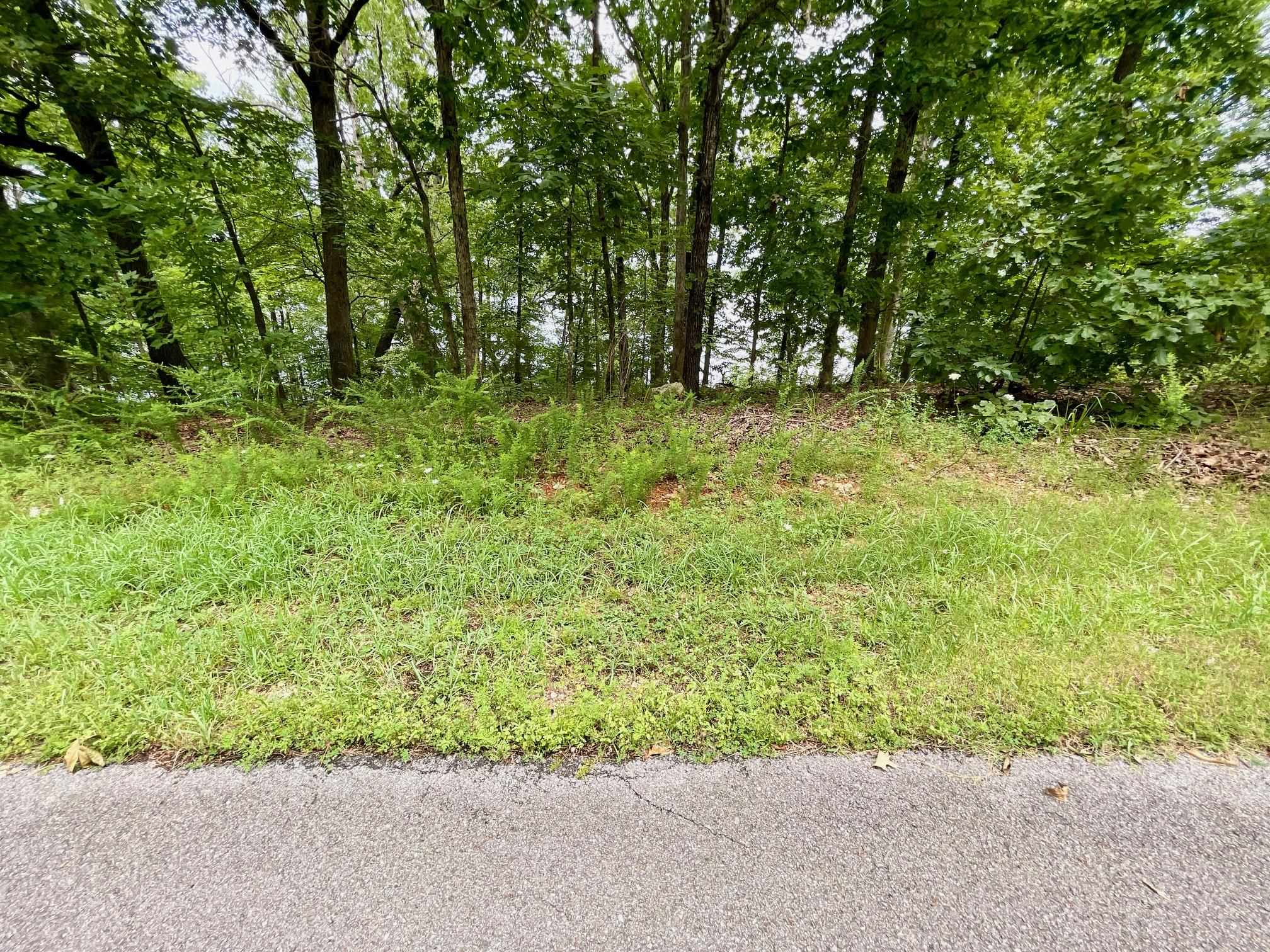 Photo 21 - Vacant Land for sale – 300  Isabella   Horseshoe Bend, AR