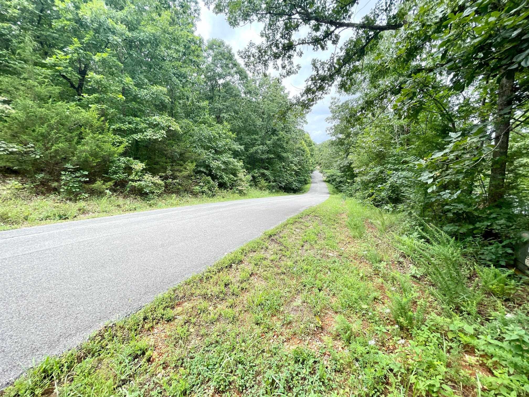 Photo 26 - Vacant Land for sale – 300  Isabella   Horseshoe Bend, AR