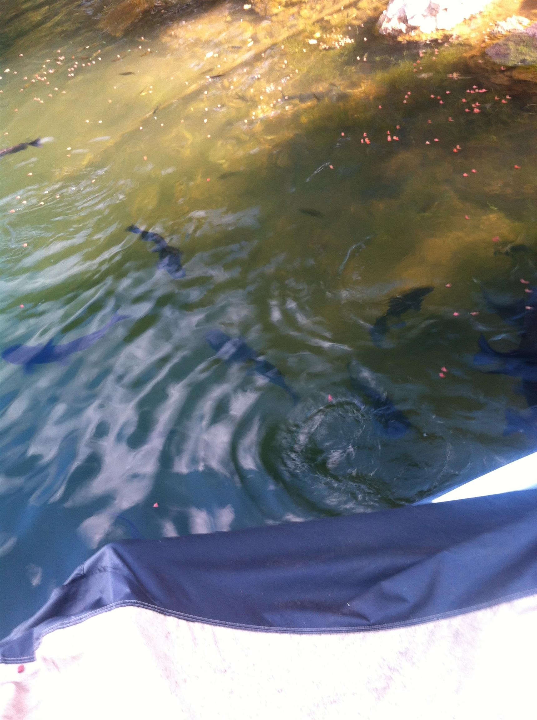 Photo 34 - Vacant Land for sale – 300  Isabella   Horseshoe Bend, AR