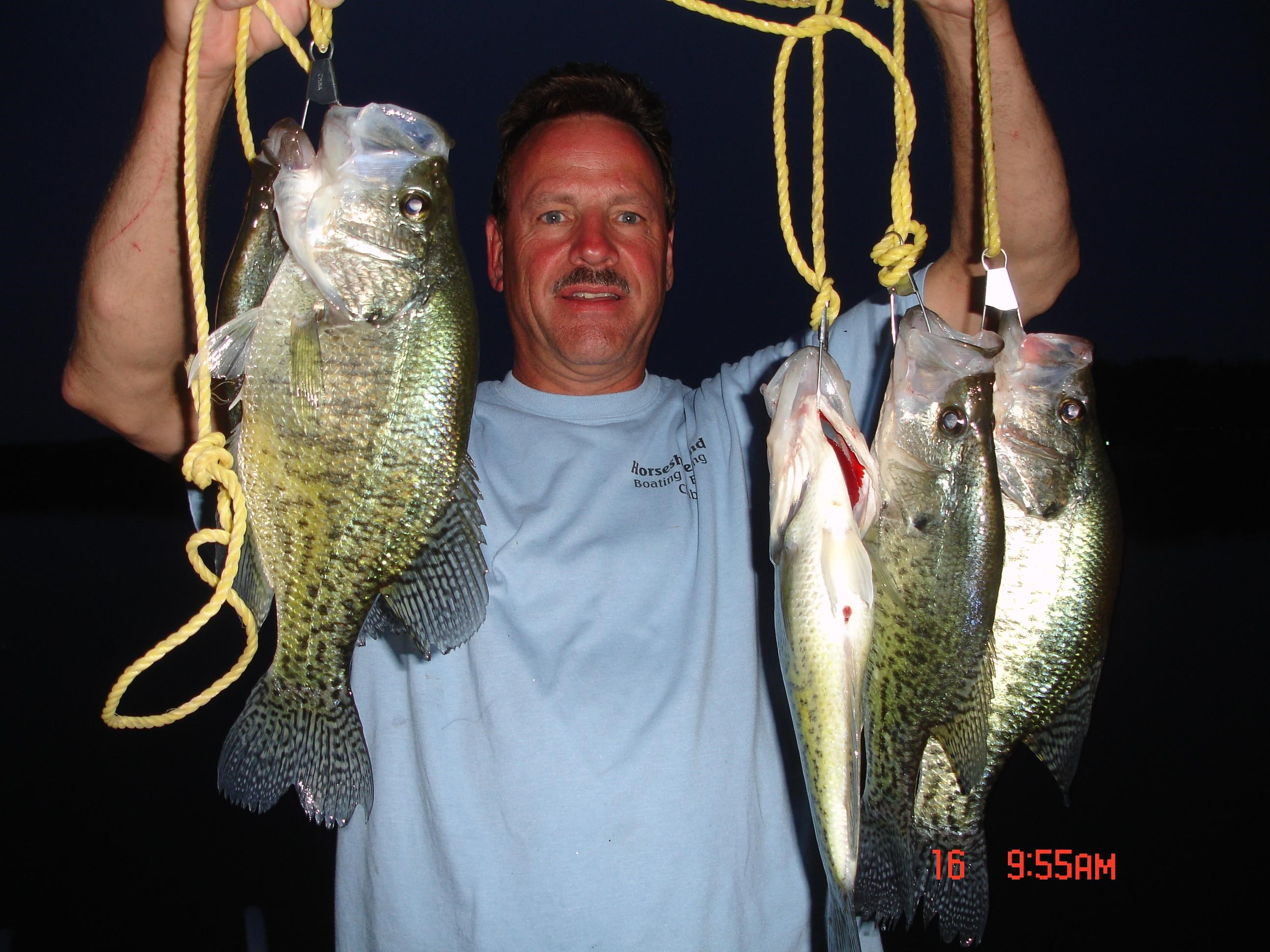 Photo 37 - Vacant Land for sale – 300  Isabella   Horseshoe Bend, AR